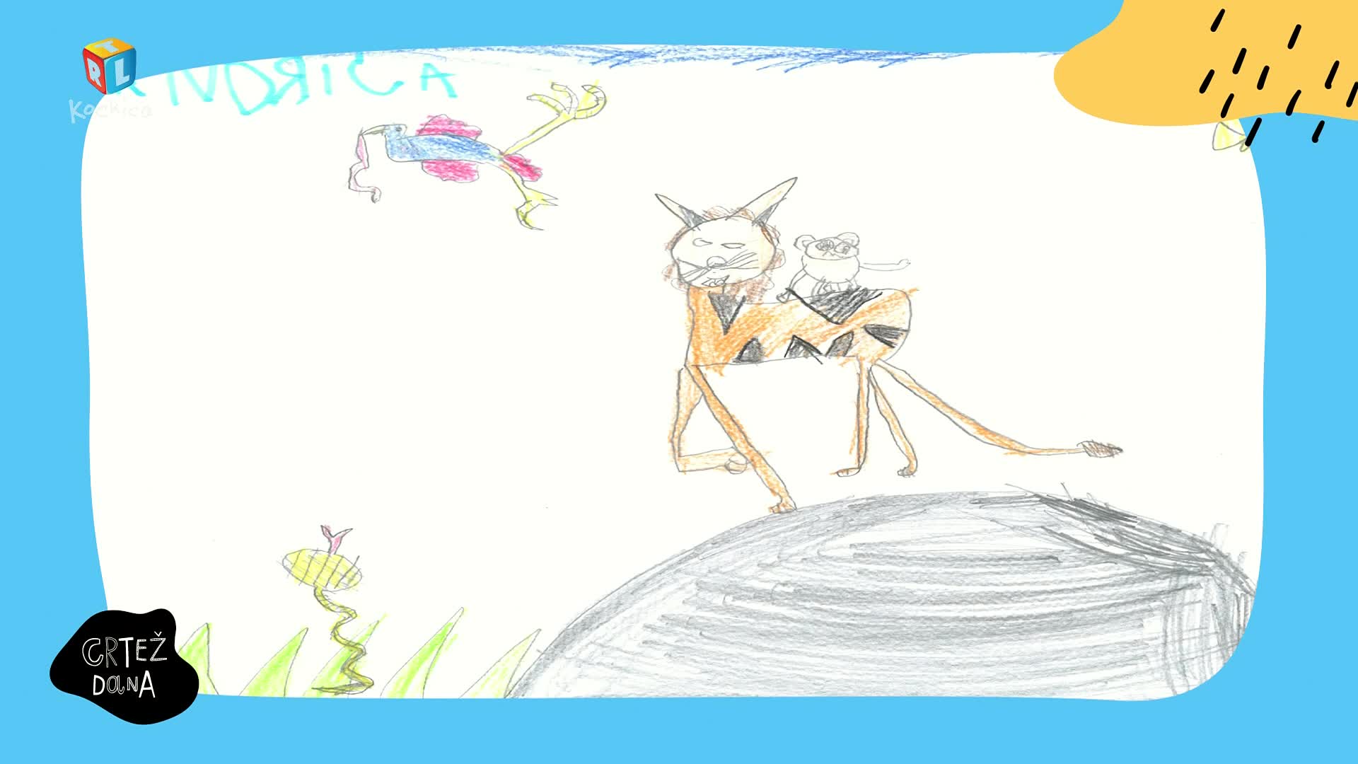 RTLKockica