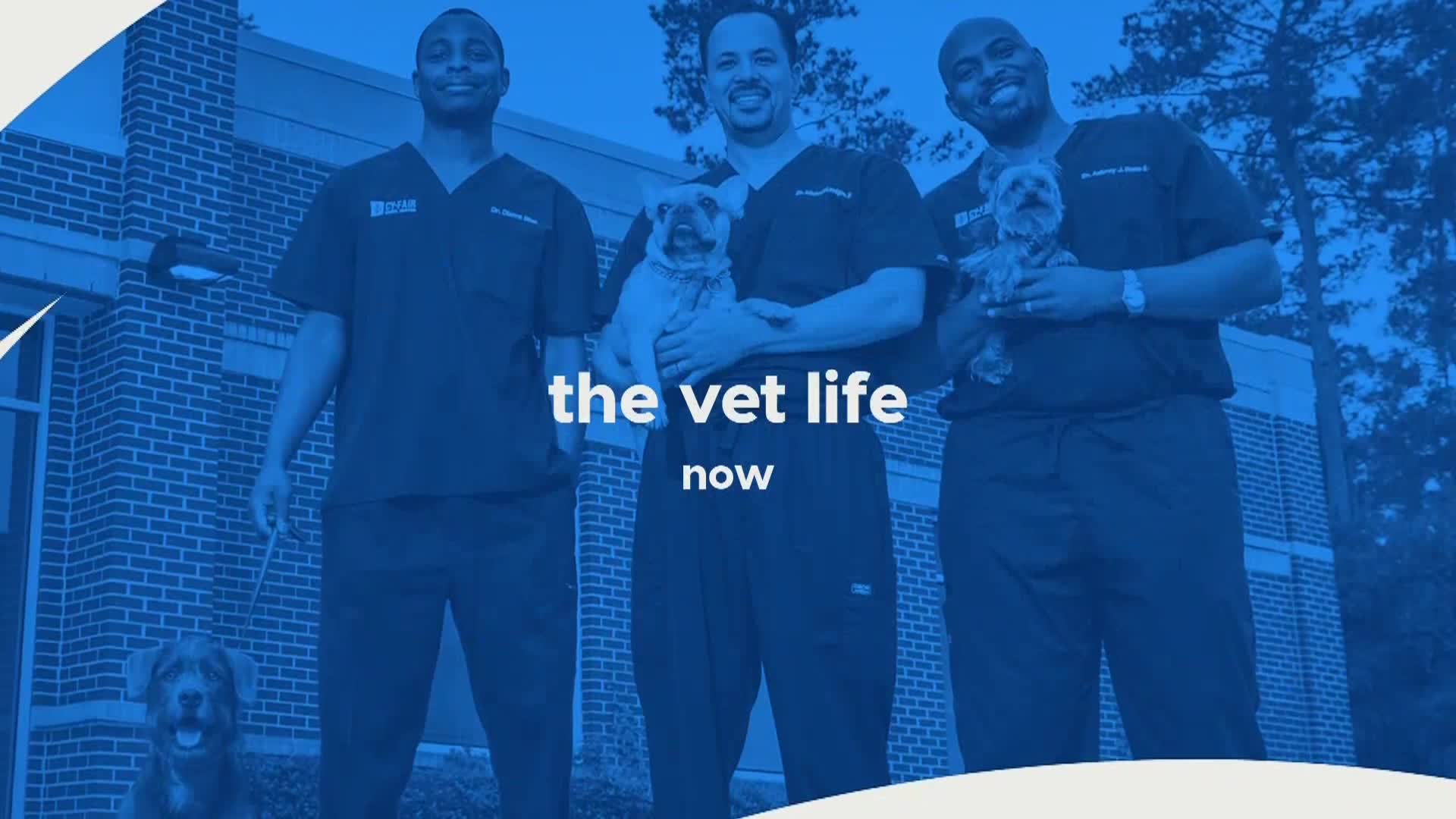 AnimalPlanet