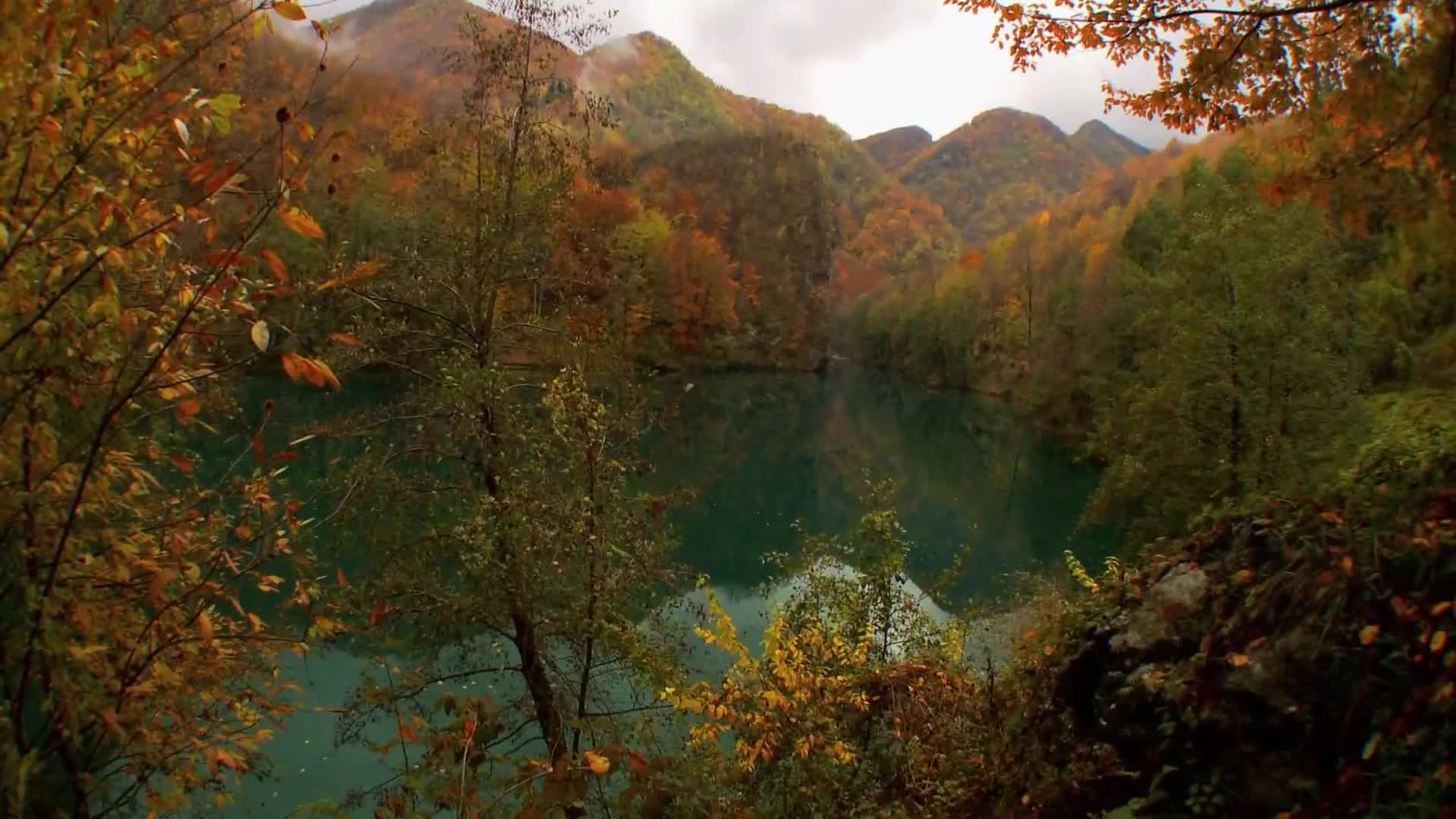 DokuTV