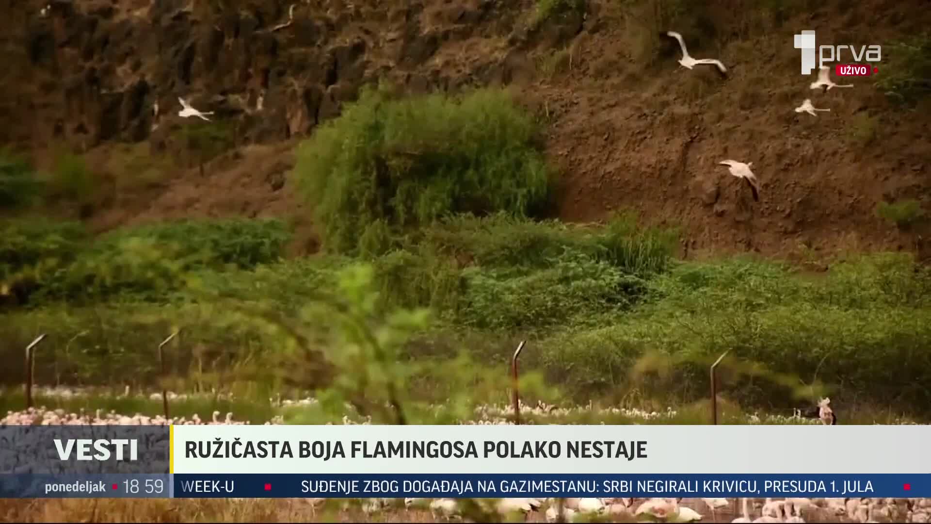 PRVA