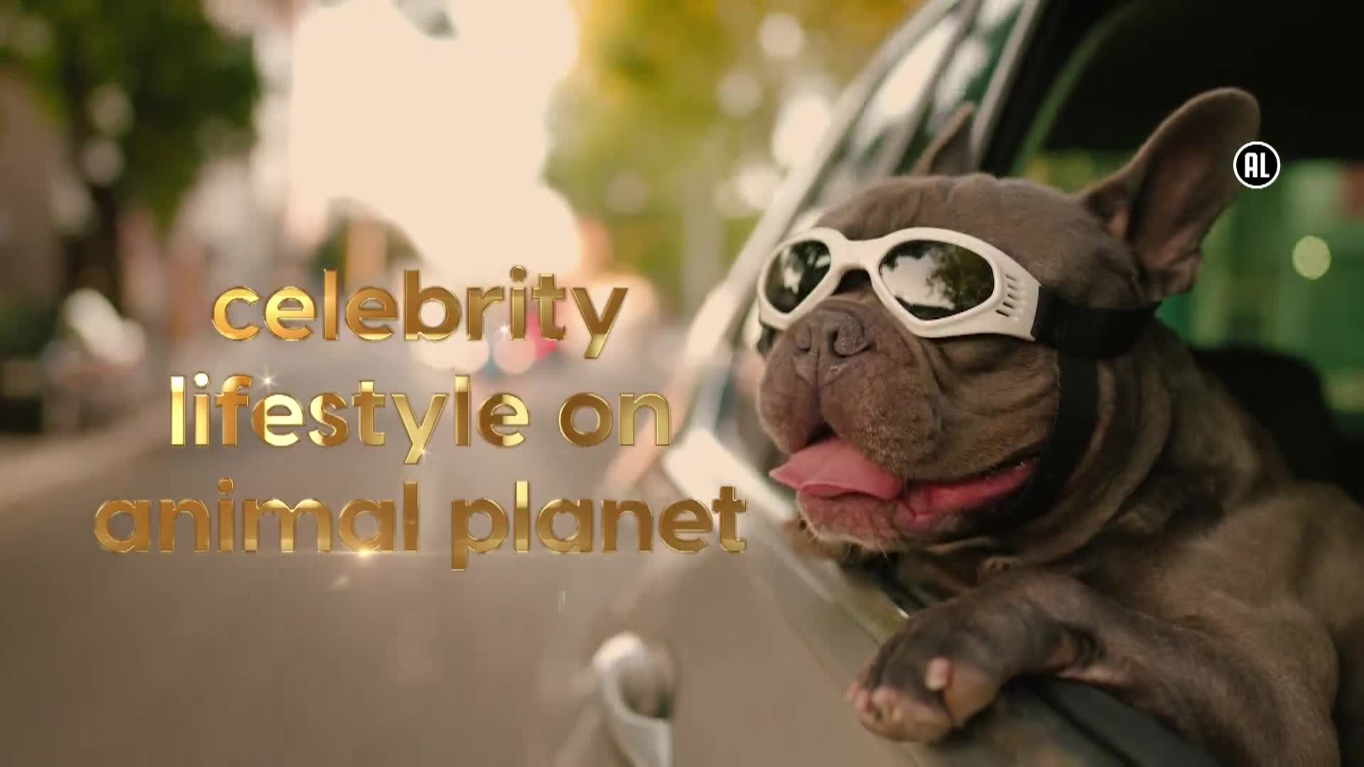AnimalPlanet