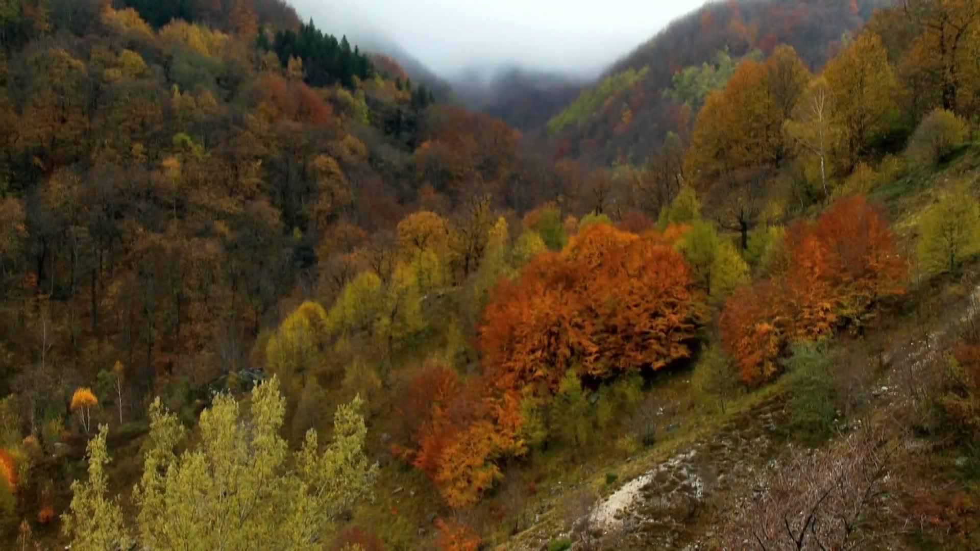 DokuTV