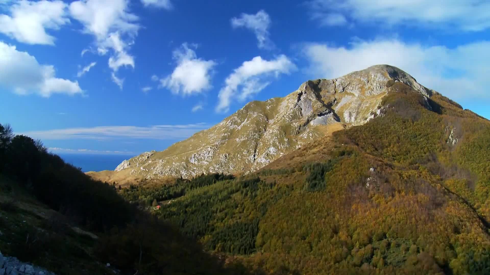 DokuTV