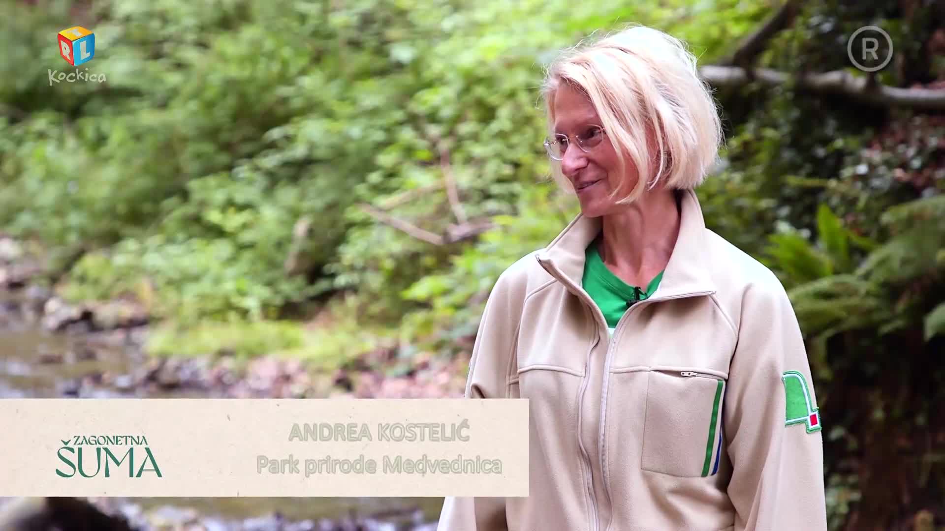 RTLKockica