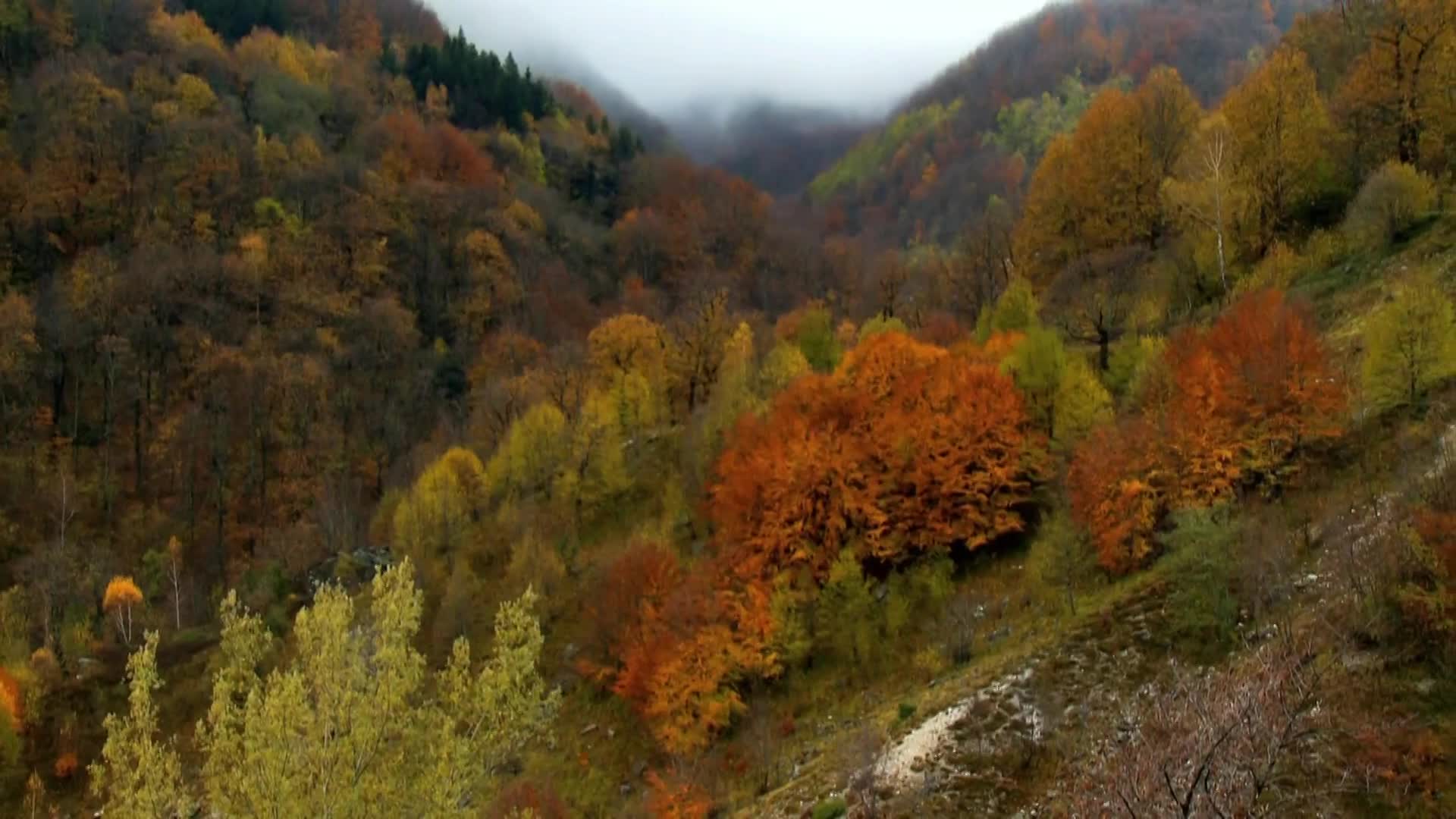 DokuTV