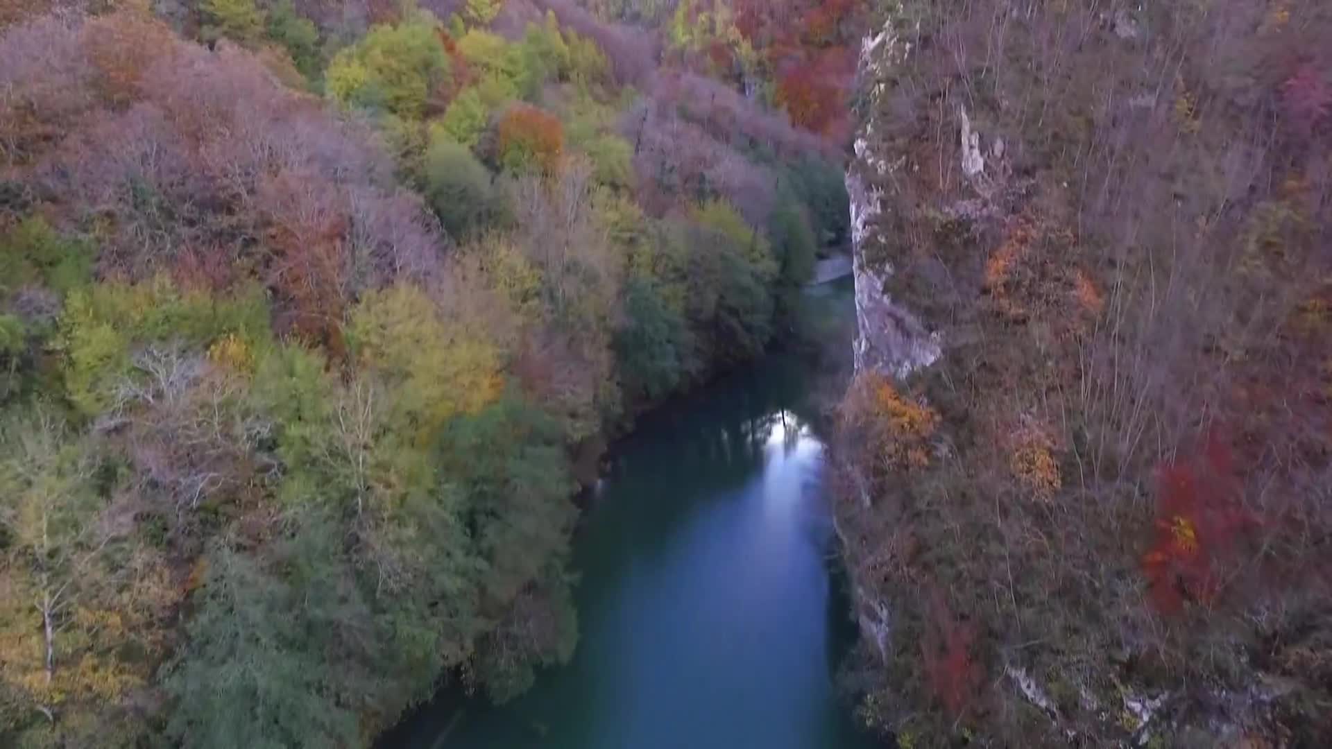 DokuTV