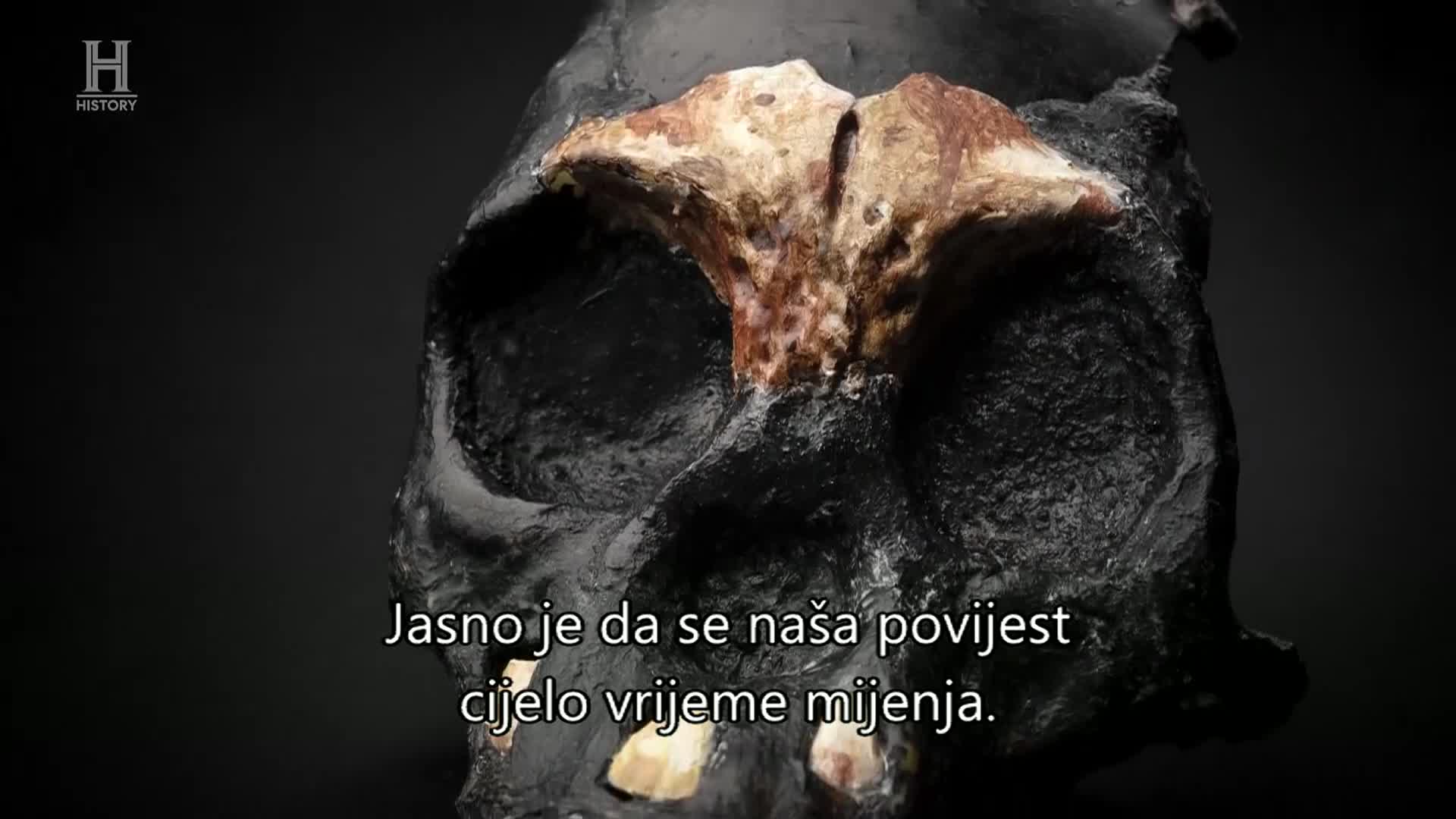 History