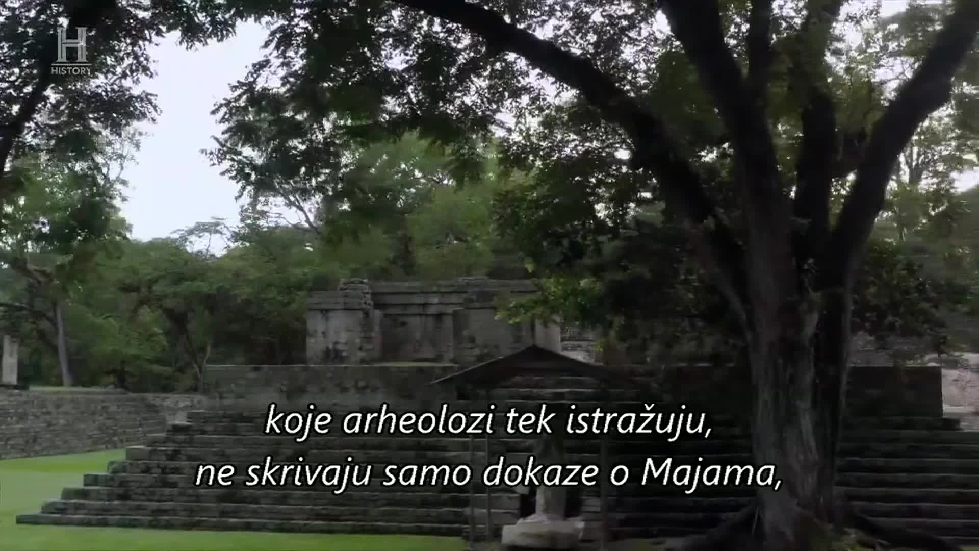 History