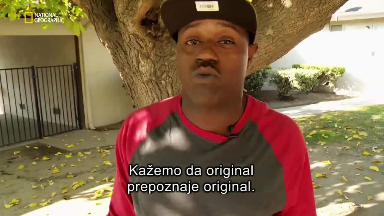 Premium10