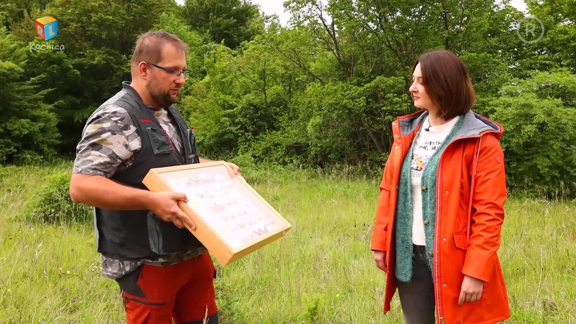 RTLKockica
