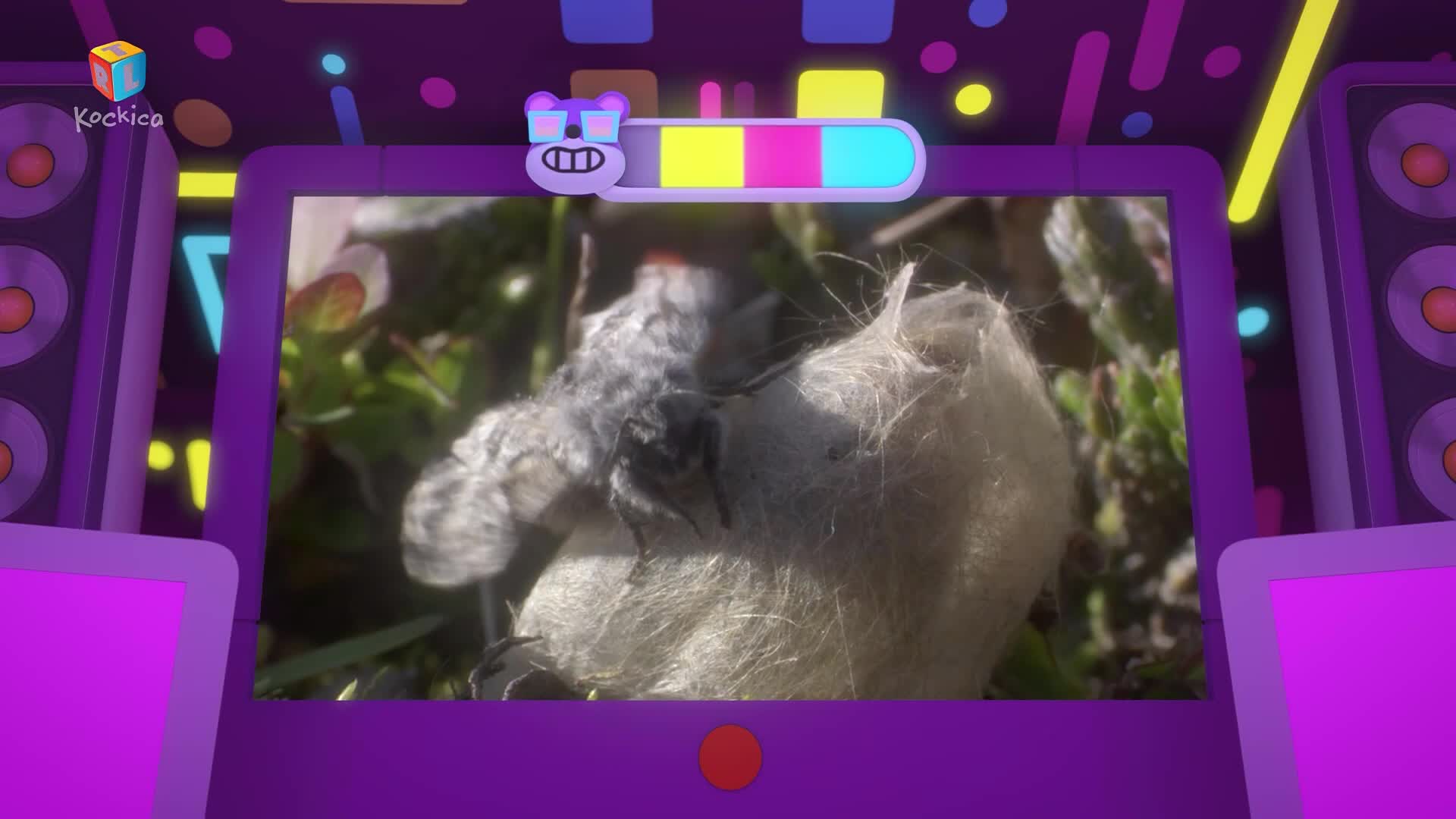 RTLKockica