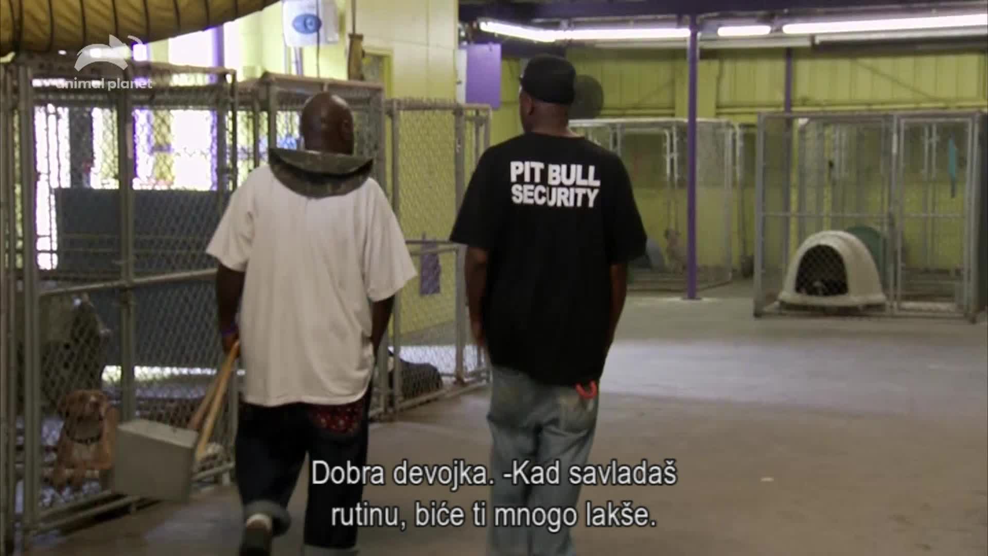 AnimalPlanet