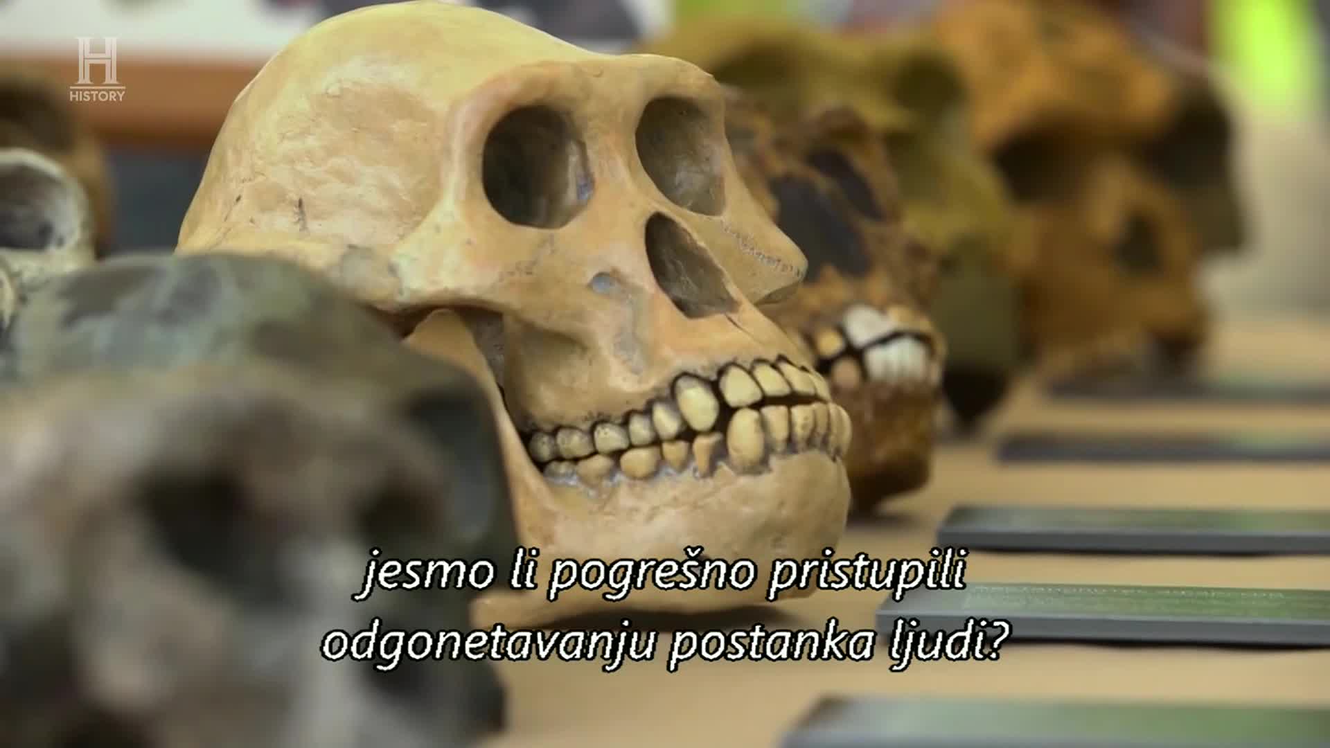 History