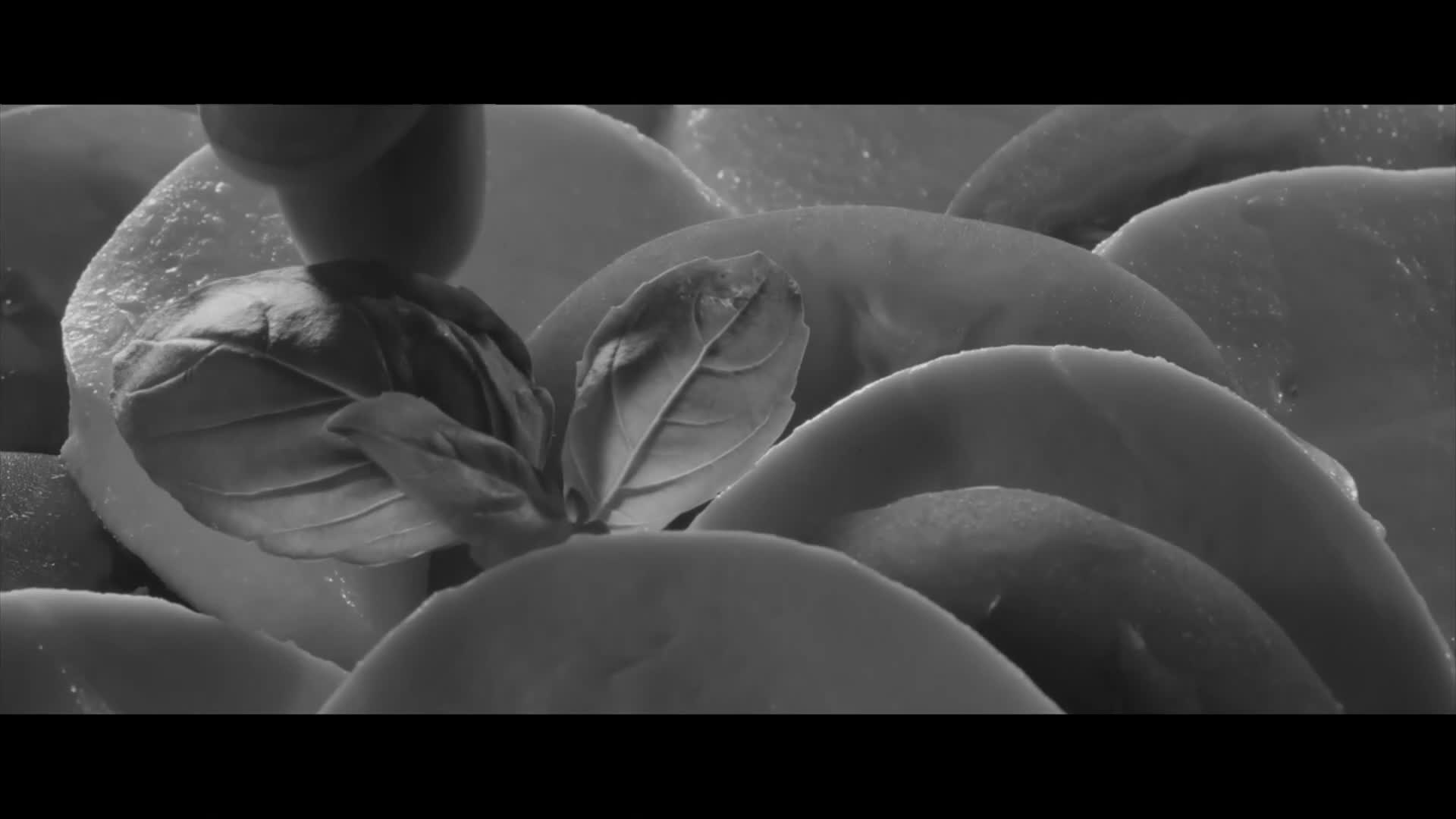NovaTVPlus