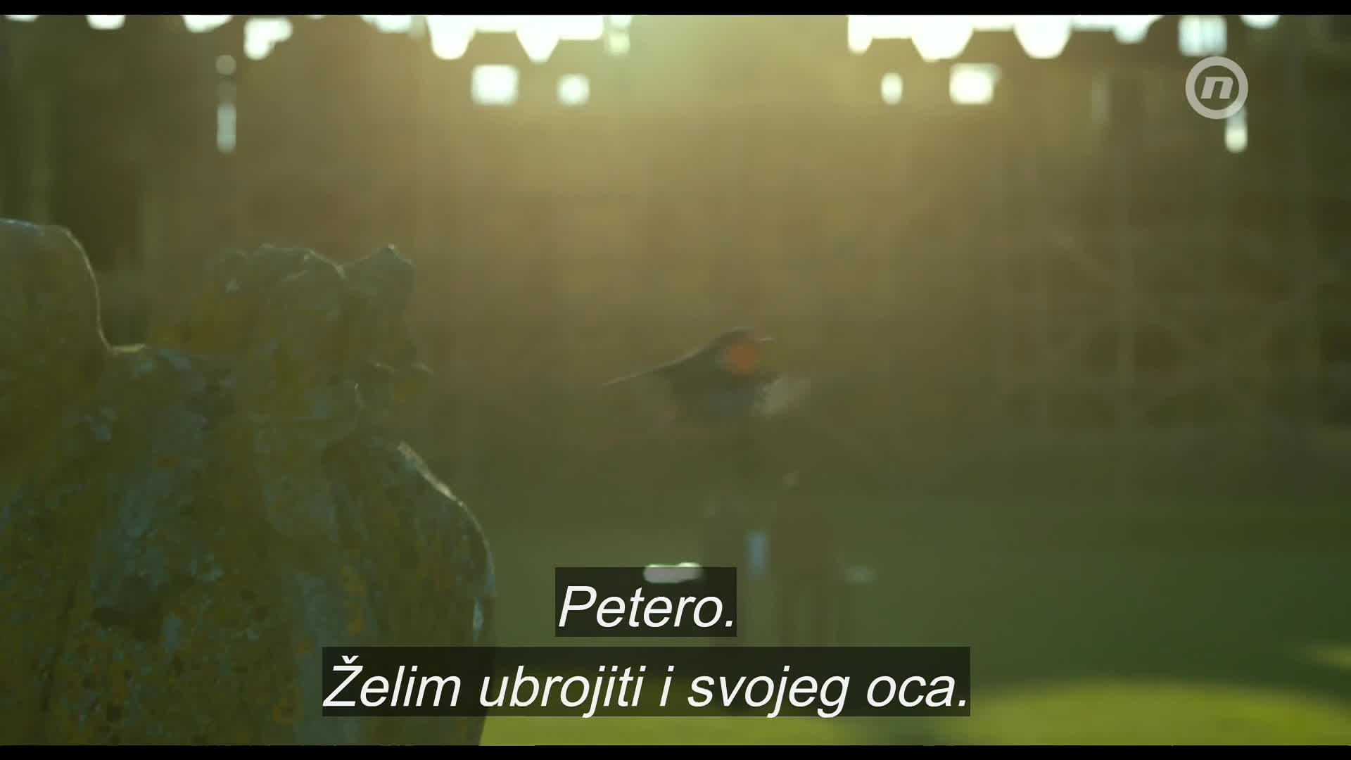 NovaTVPlus