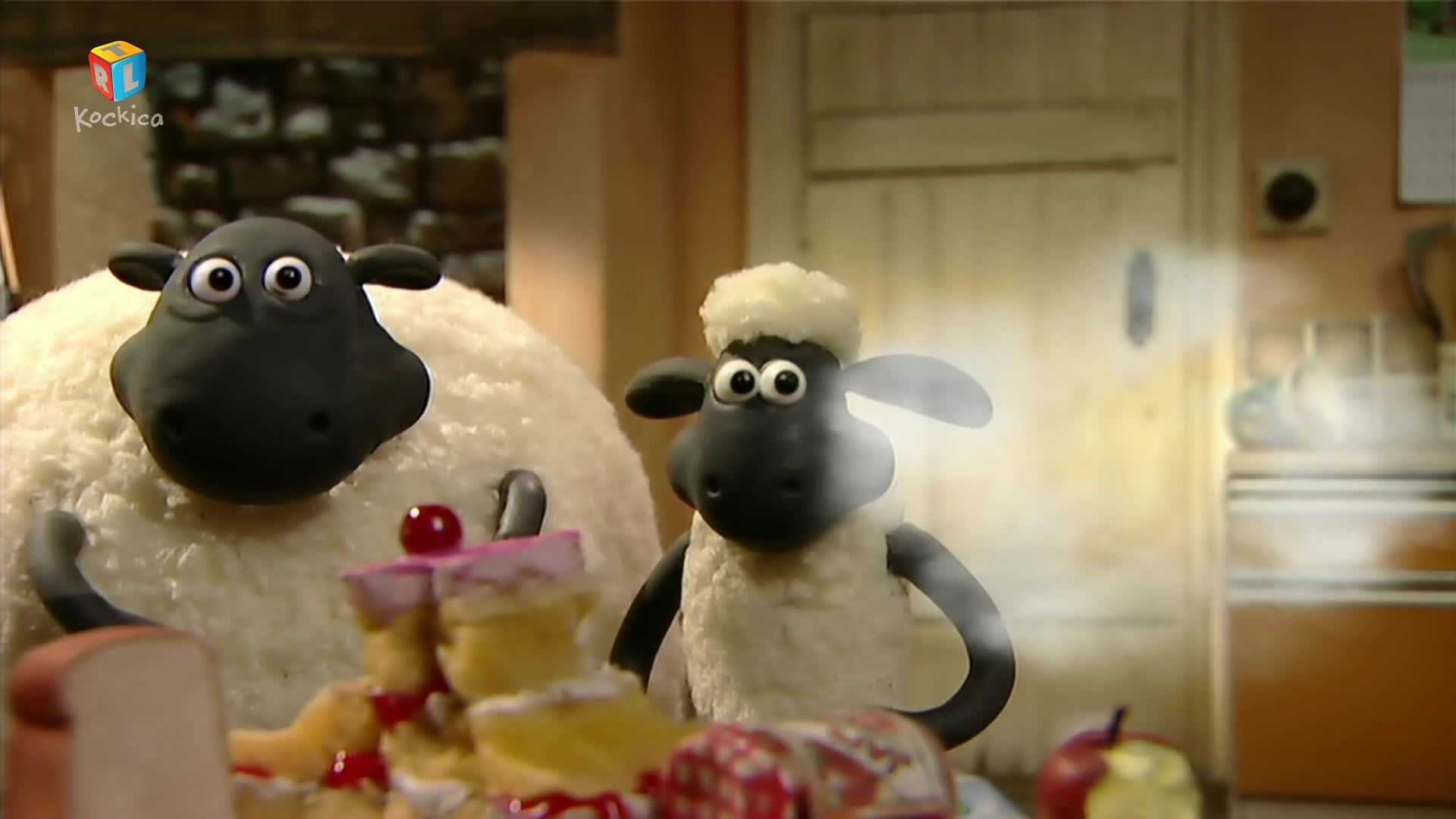 RTLKockica