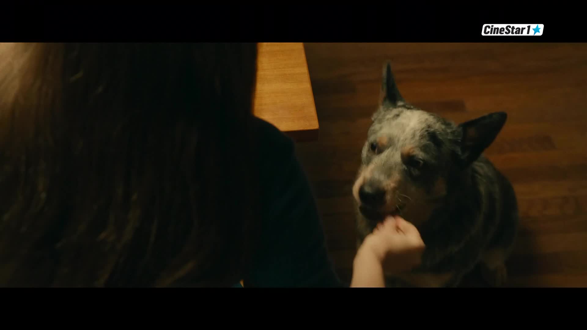 CinestarTV