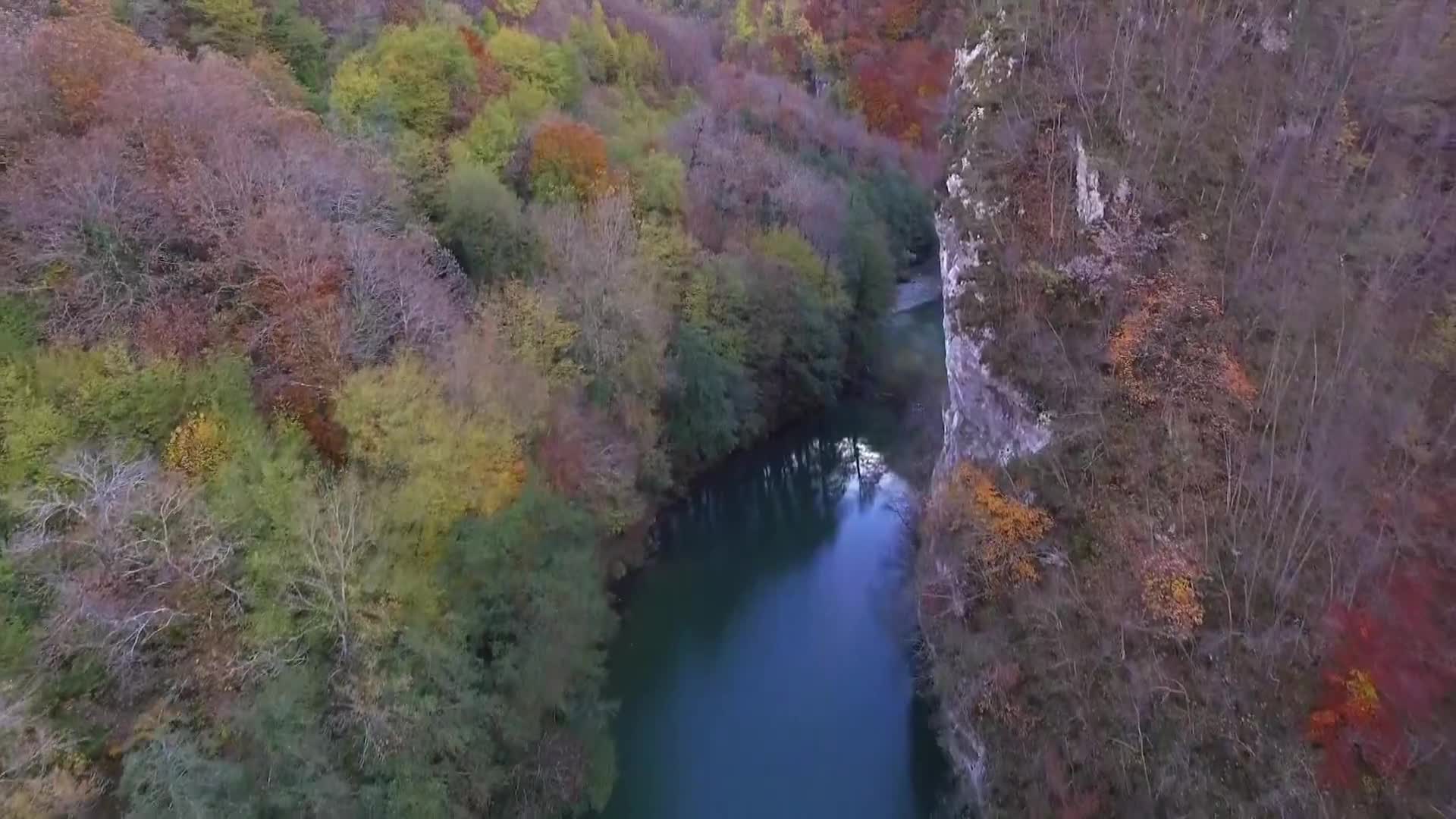 DokuTV