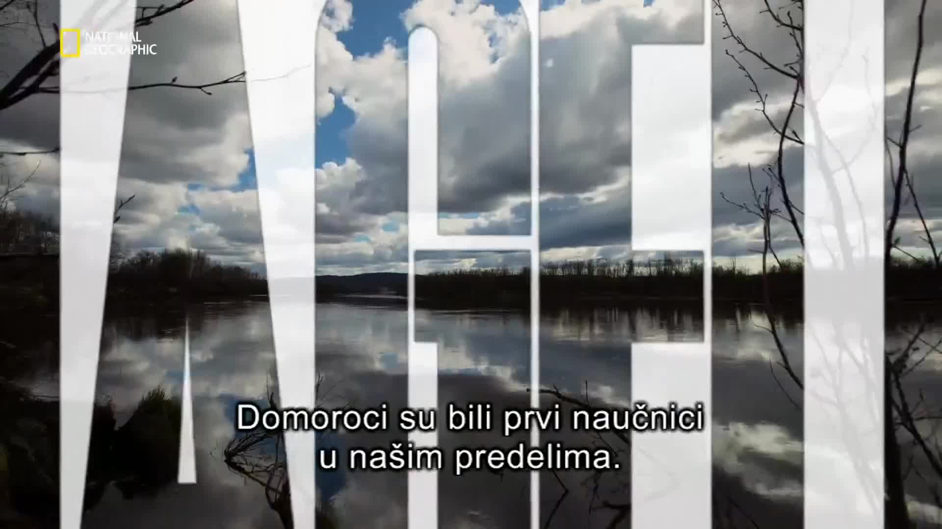 Premium10
