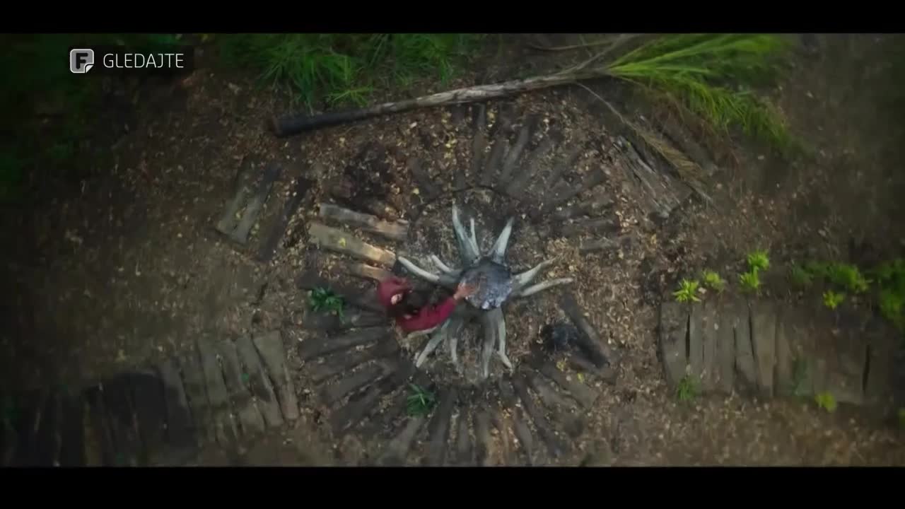 FTV