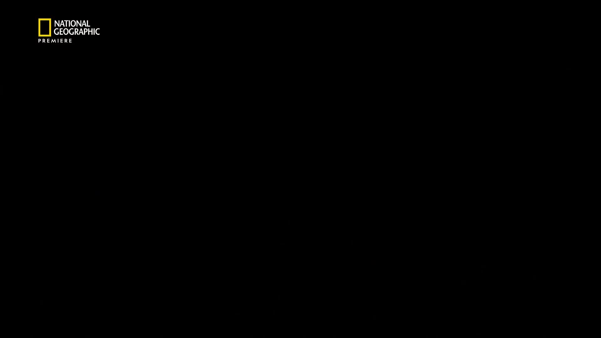 Premium10