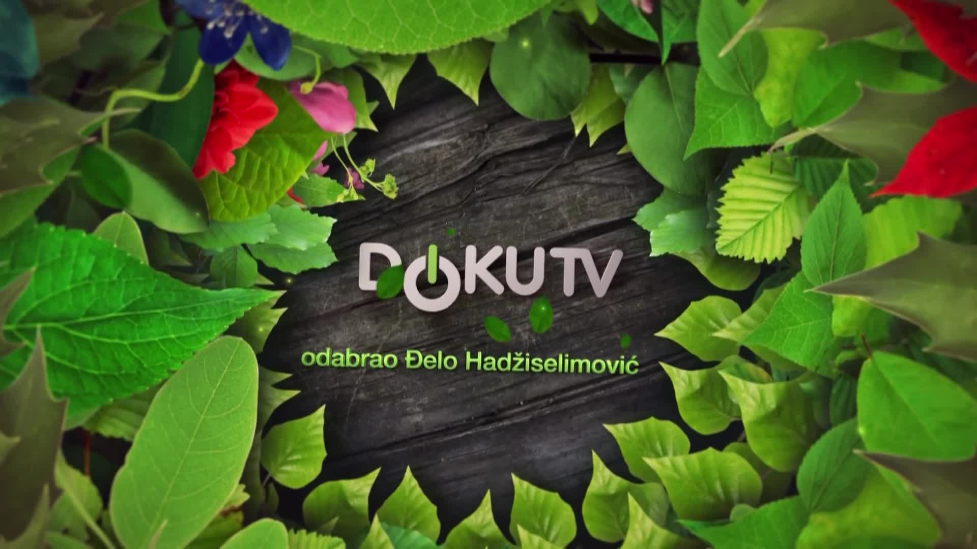 DokuTV