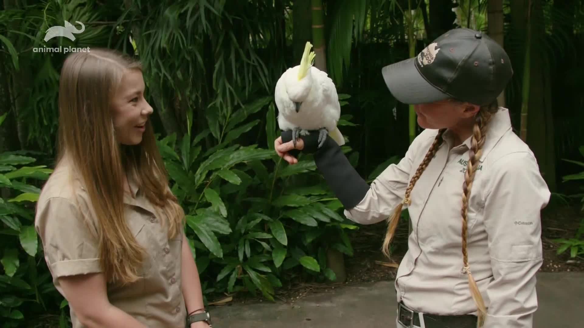 AnimalPlanet