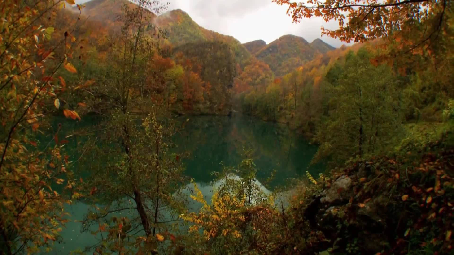 DokuTV