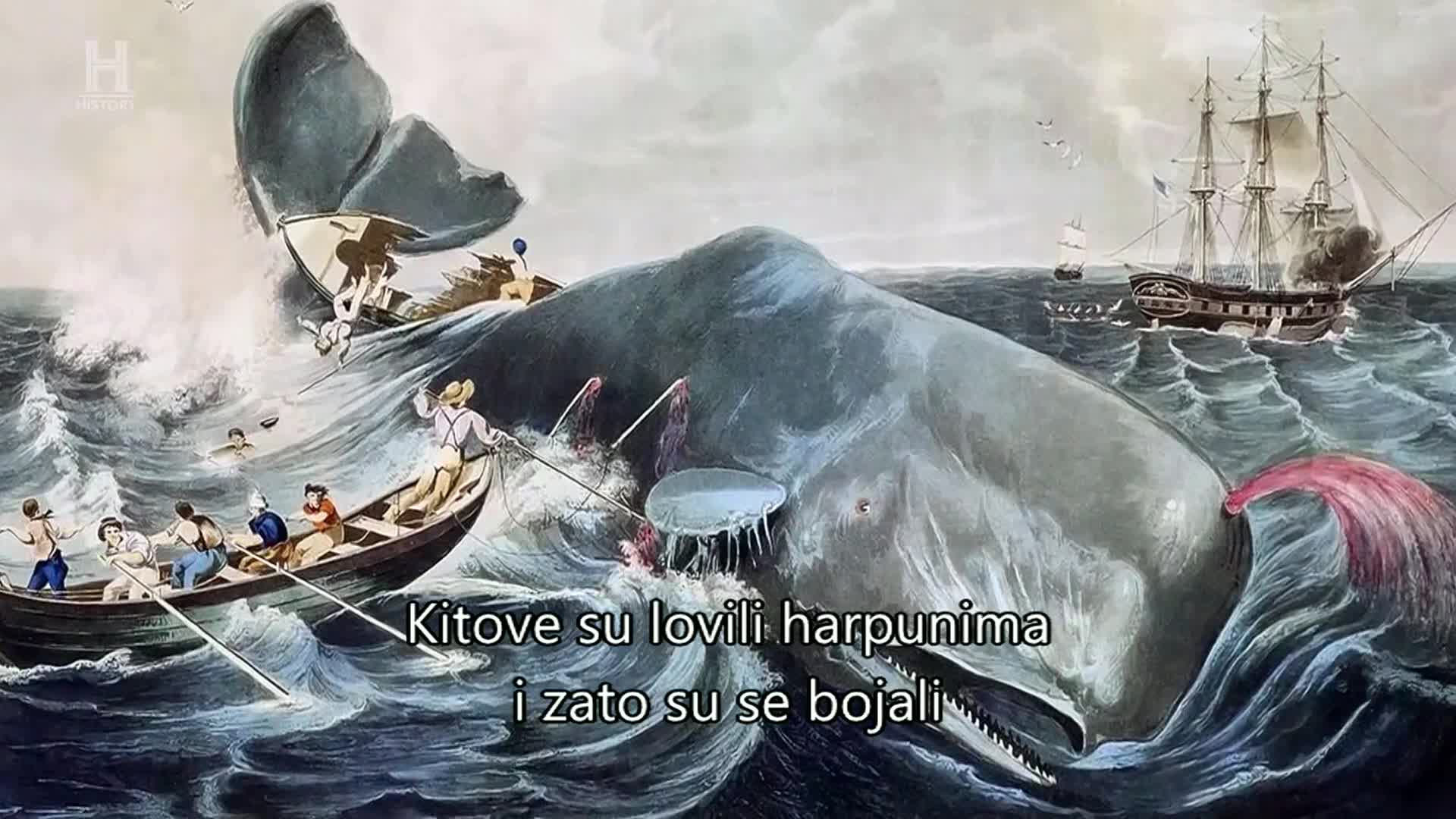 History