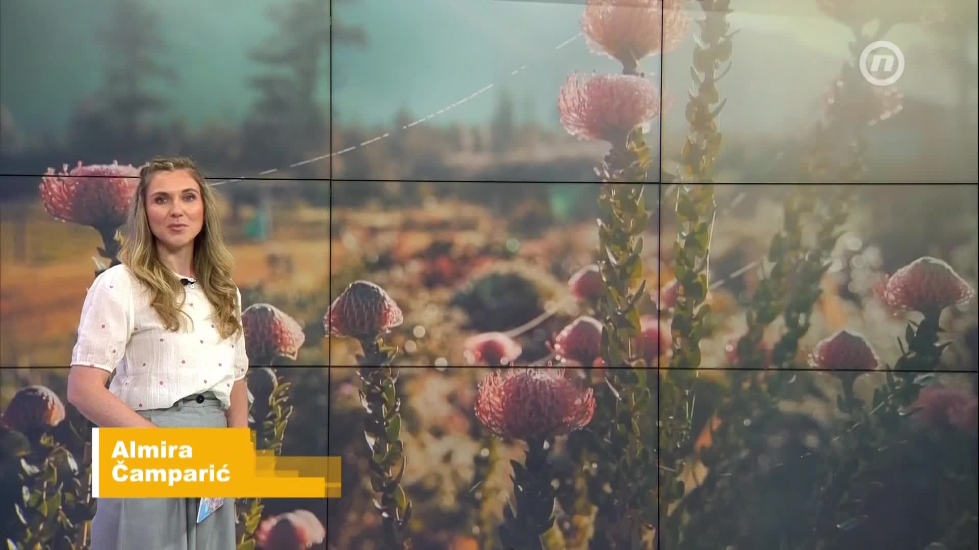 NovaTVbh