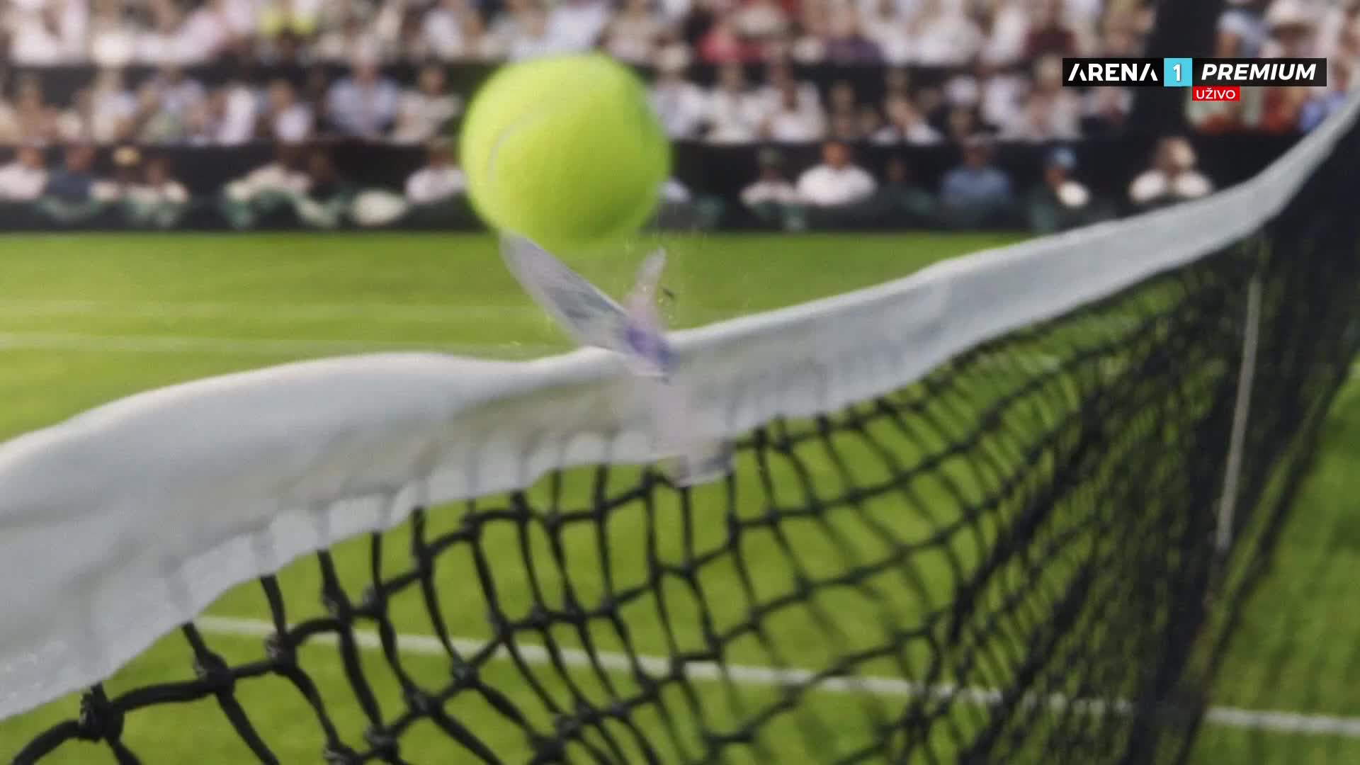 ArenaPremium1