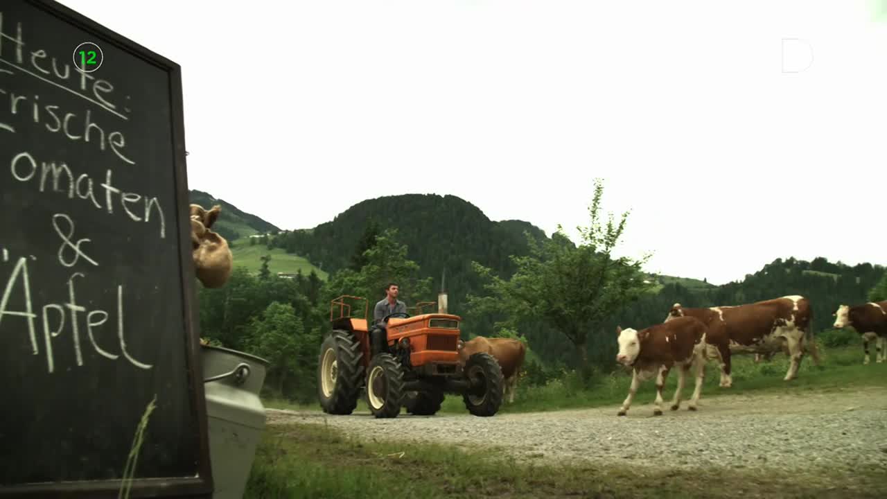 DomaTV