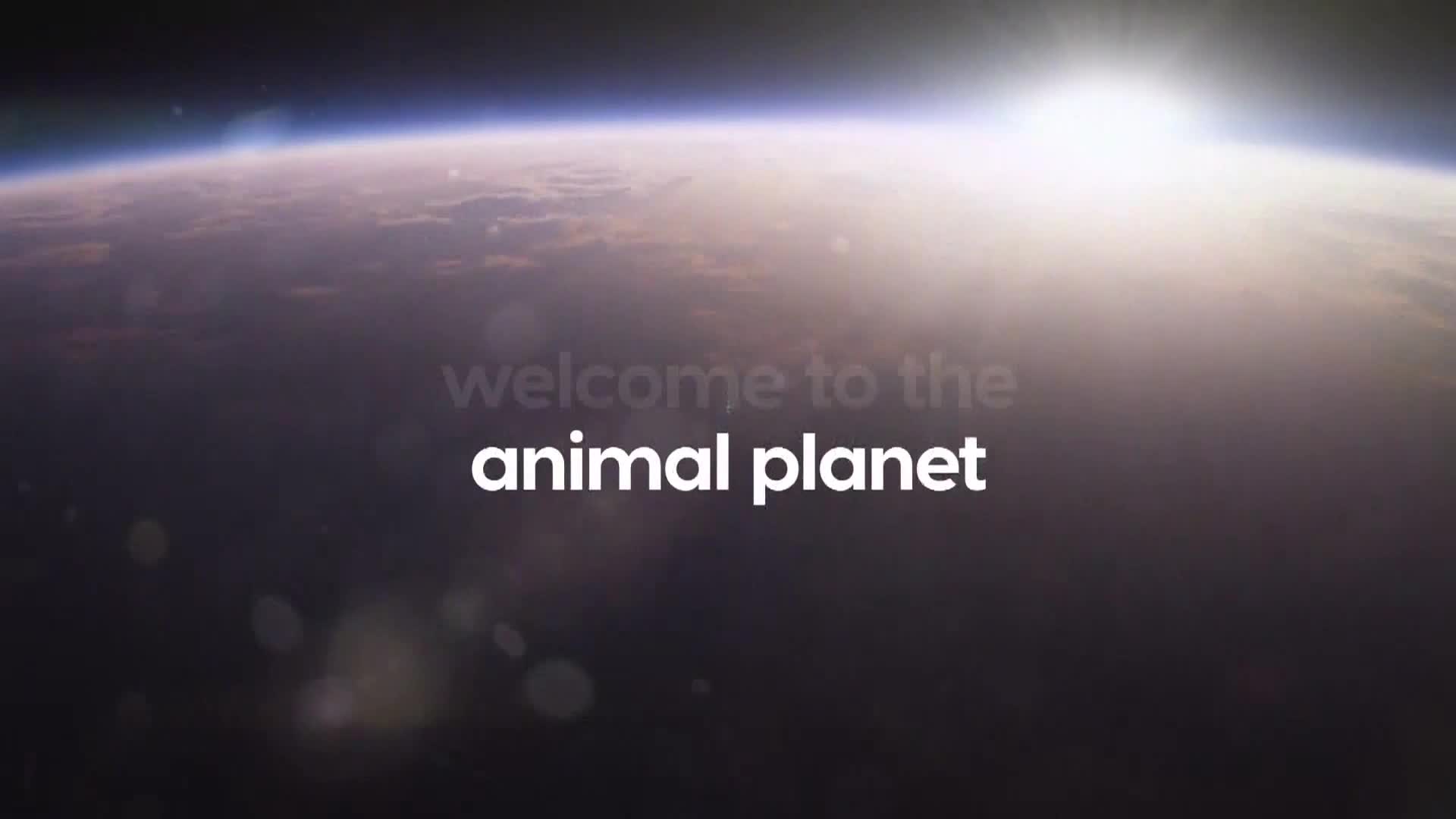 AnimalPlanet