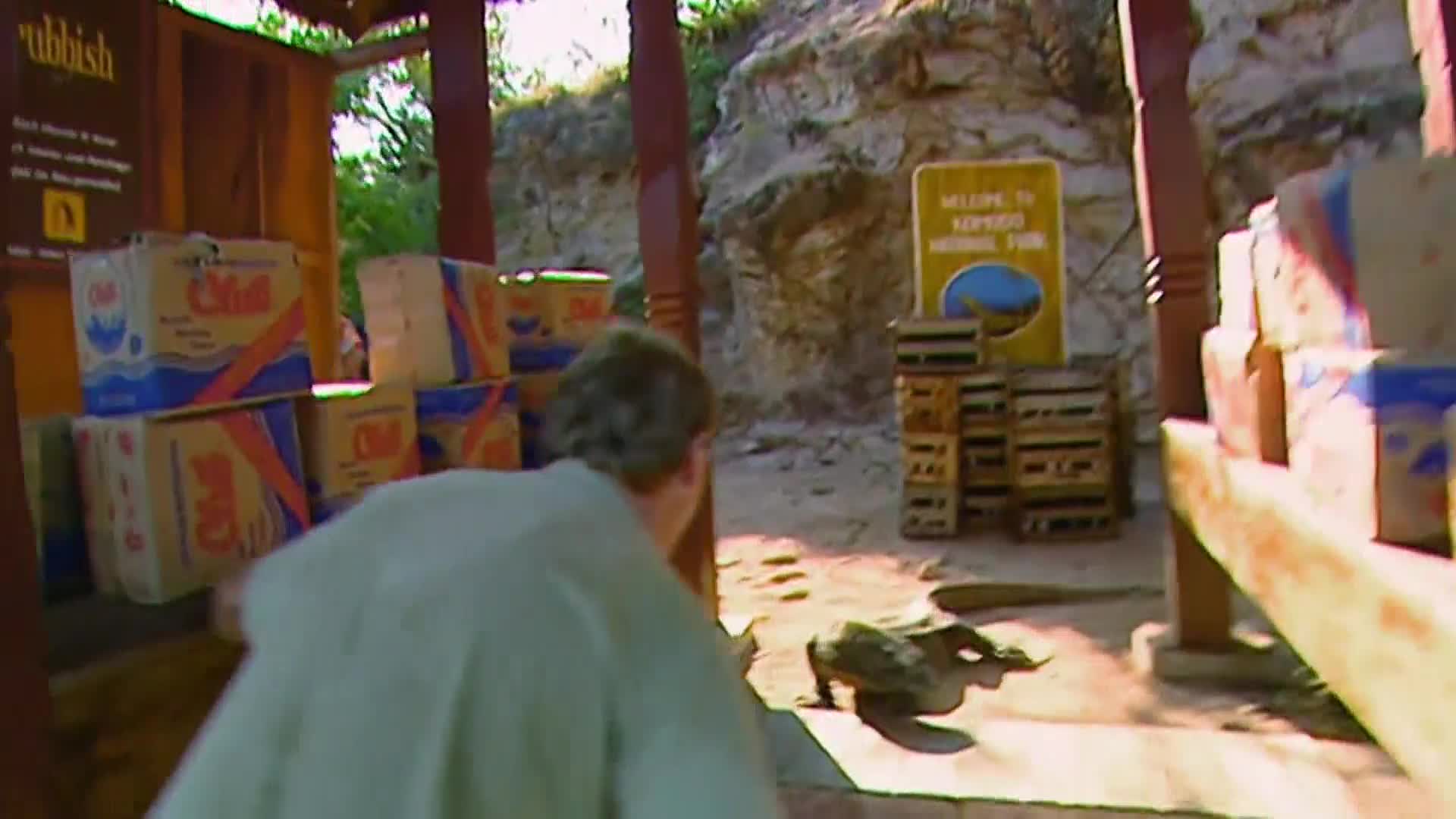 AnimalPlanet