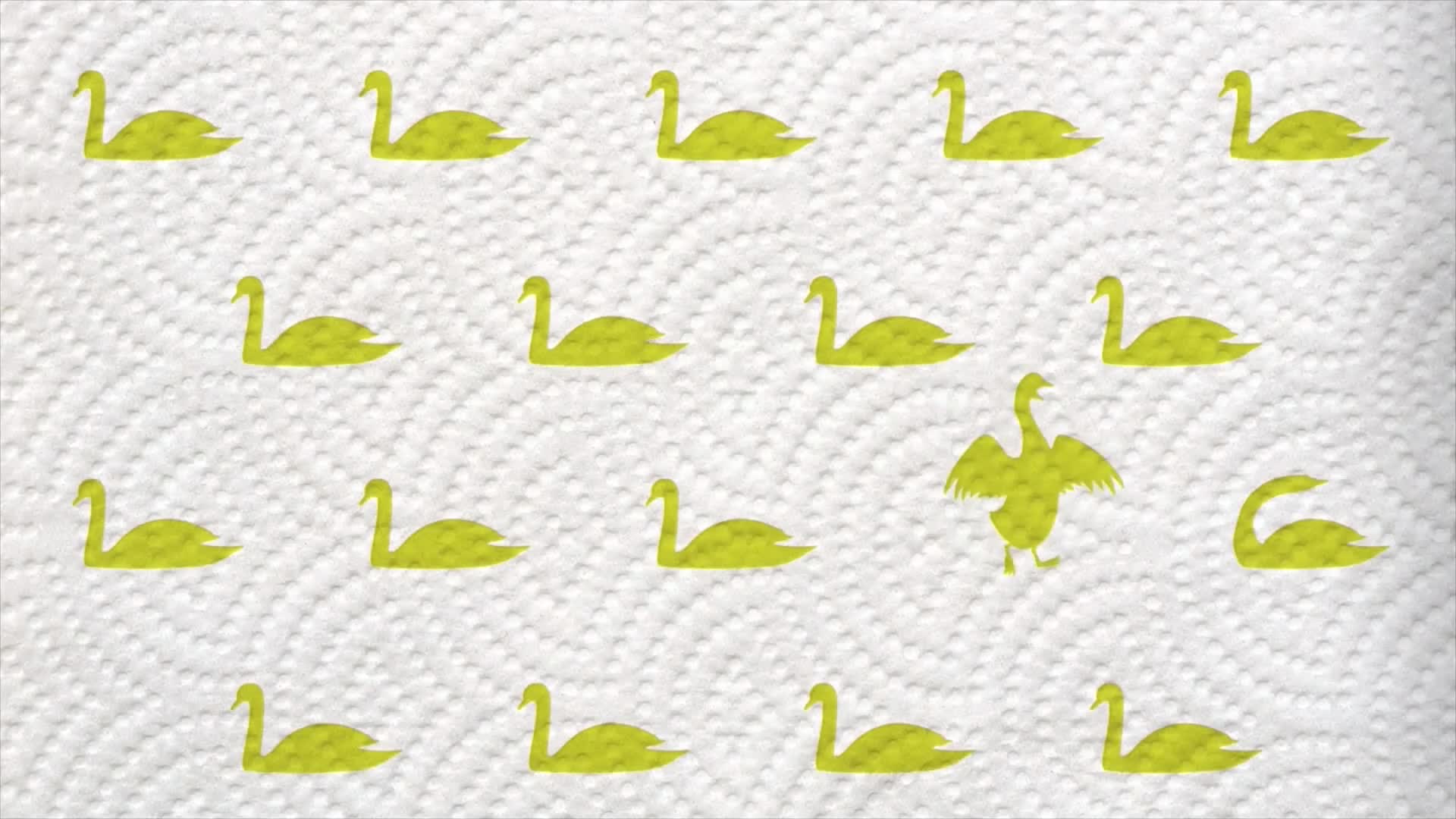 NovaTVPlus