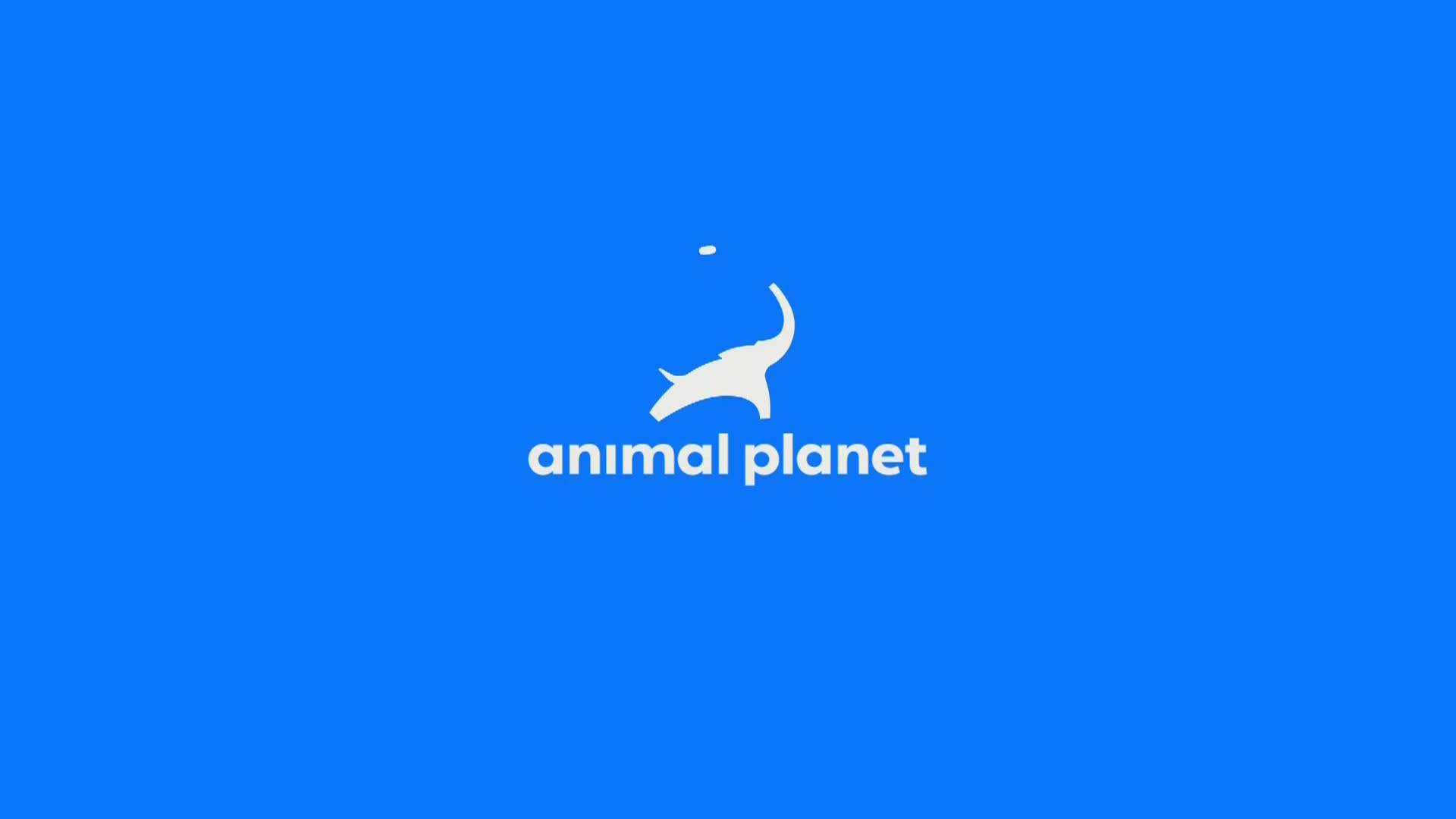 AnimalPlanet
