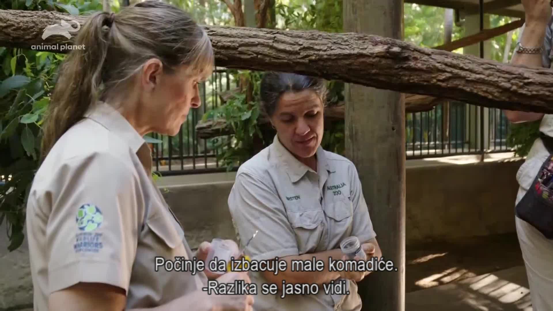 AnimalPlanet