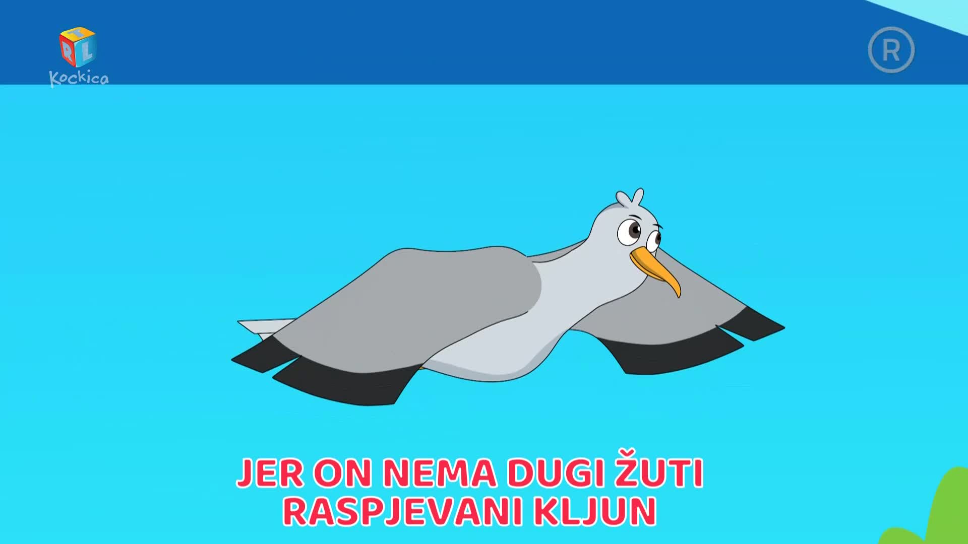 RTLKockica