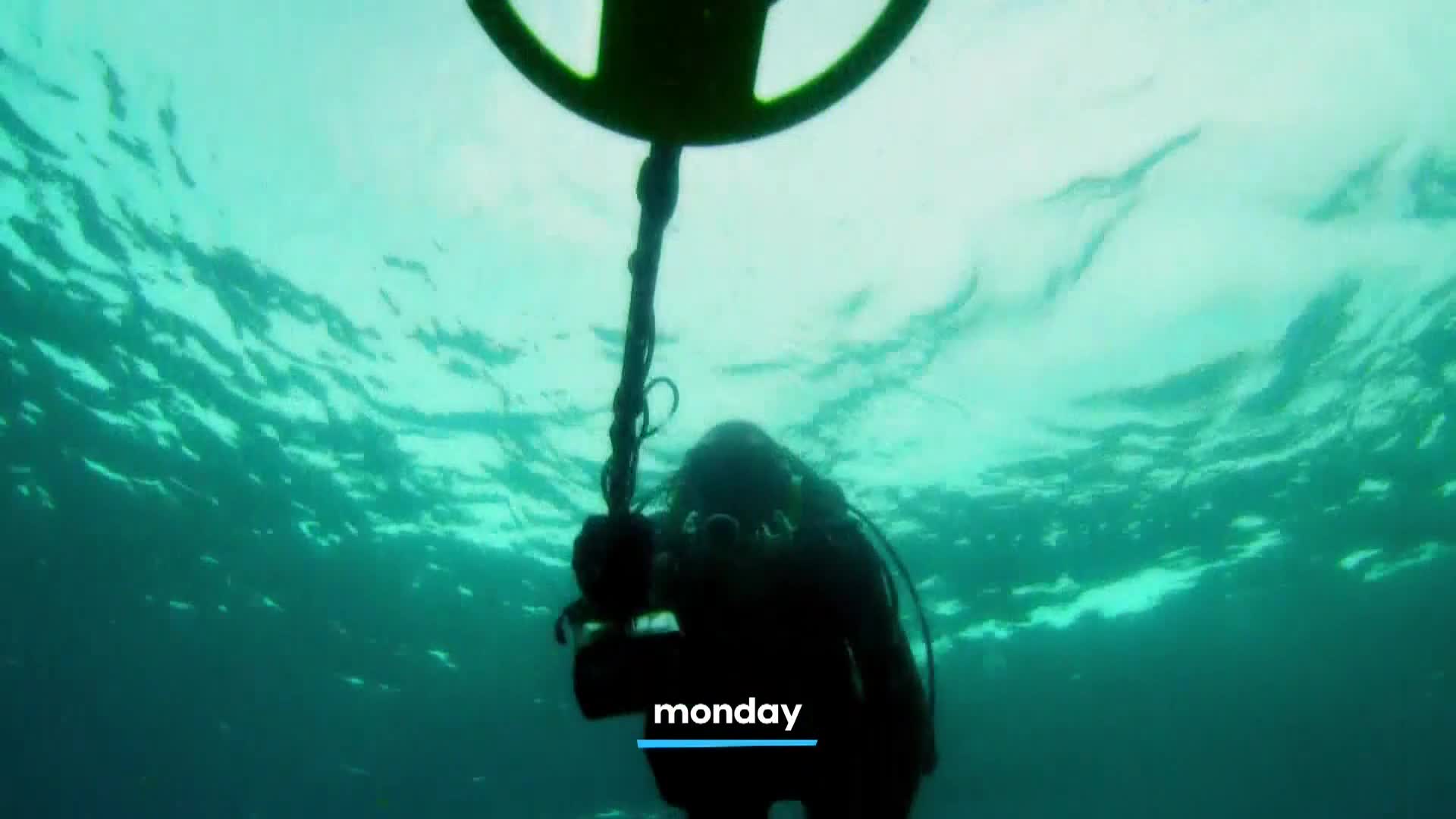 AnimalPlanet