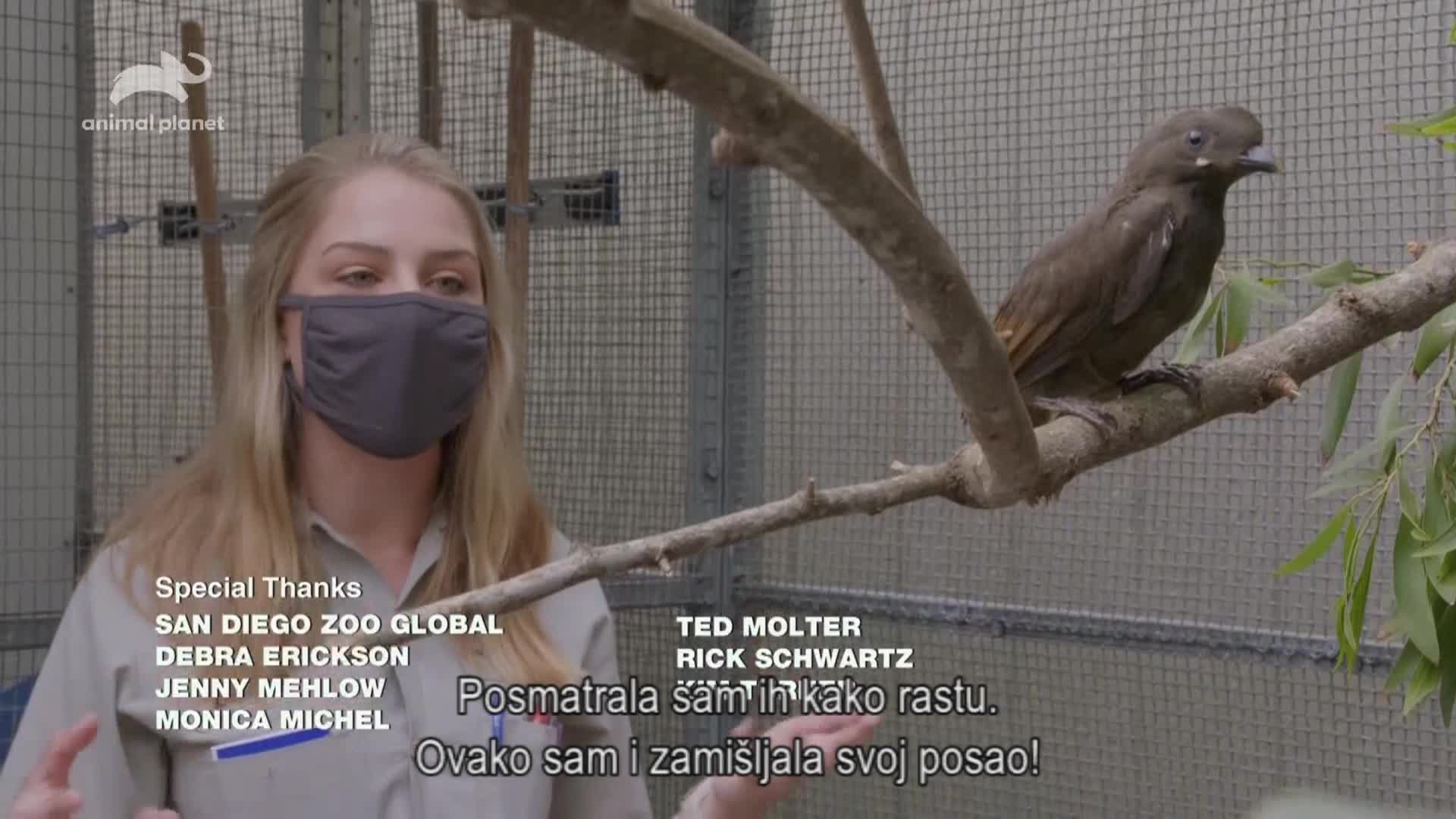 AnimalPlanet