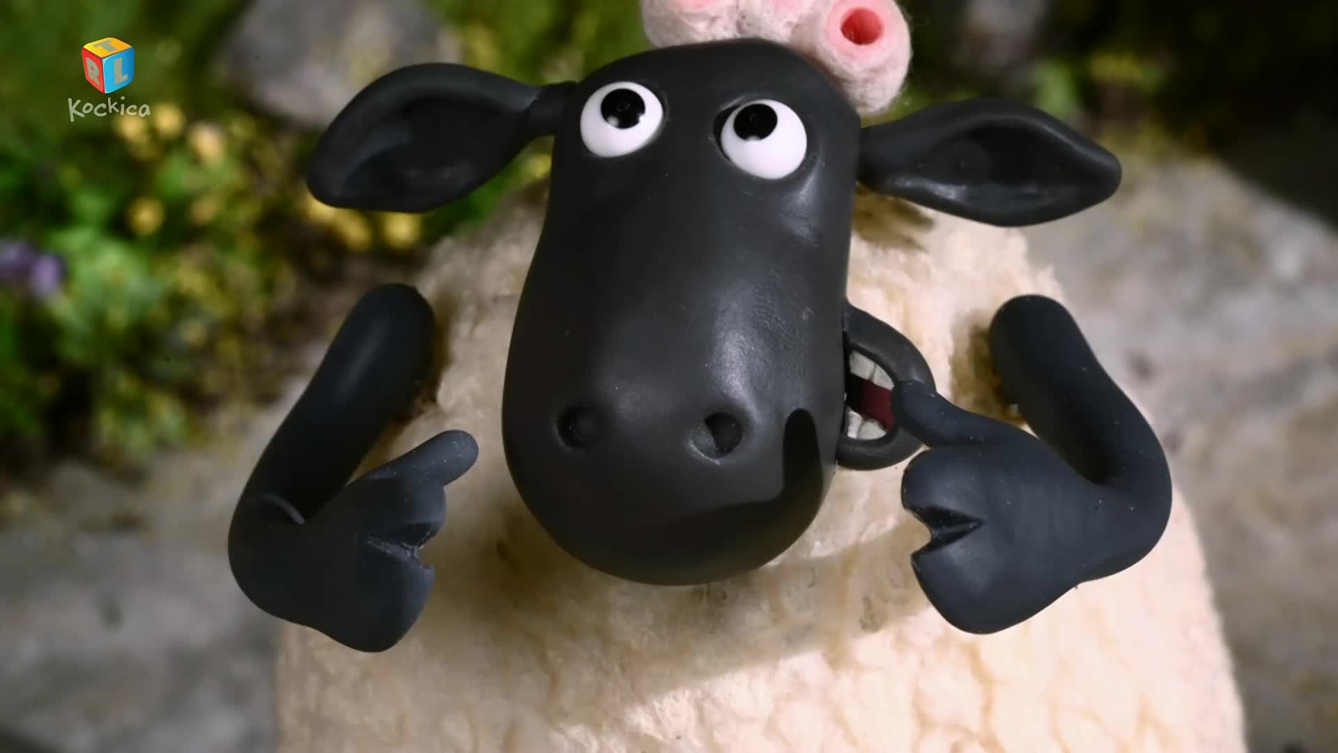 RTLKockica
