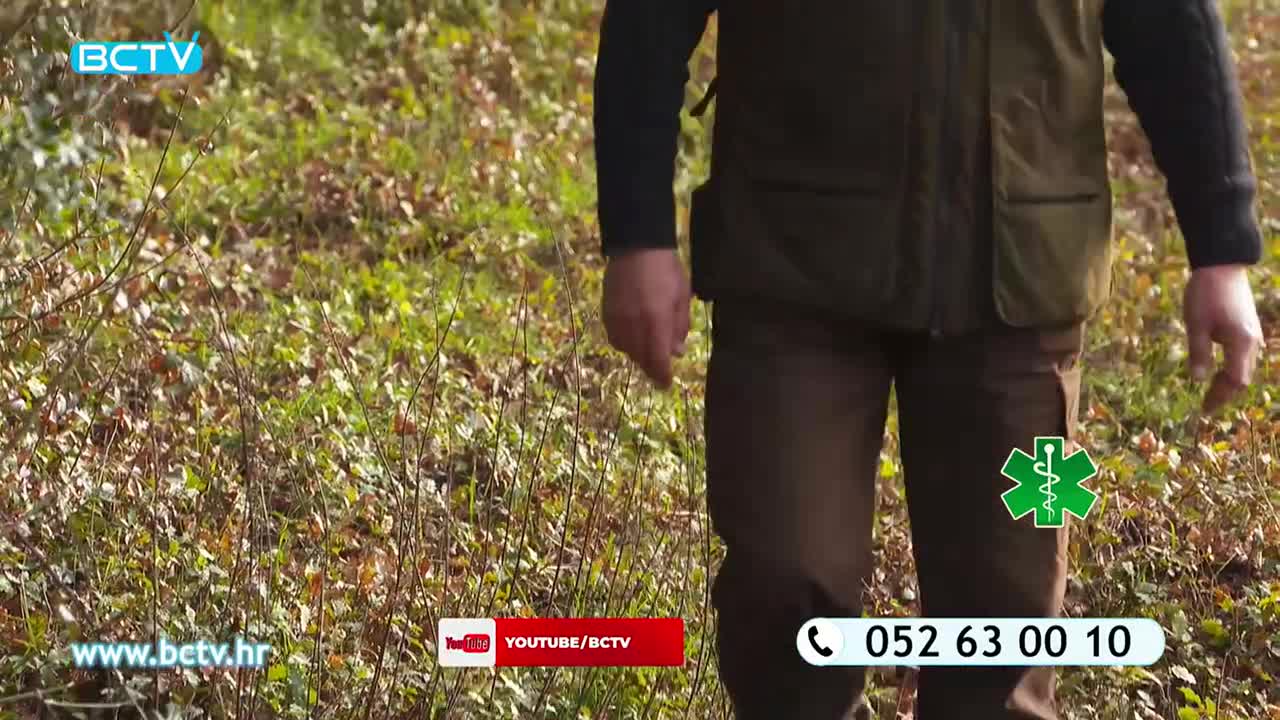 DomaTV