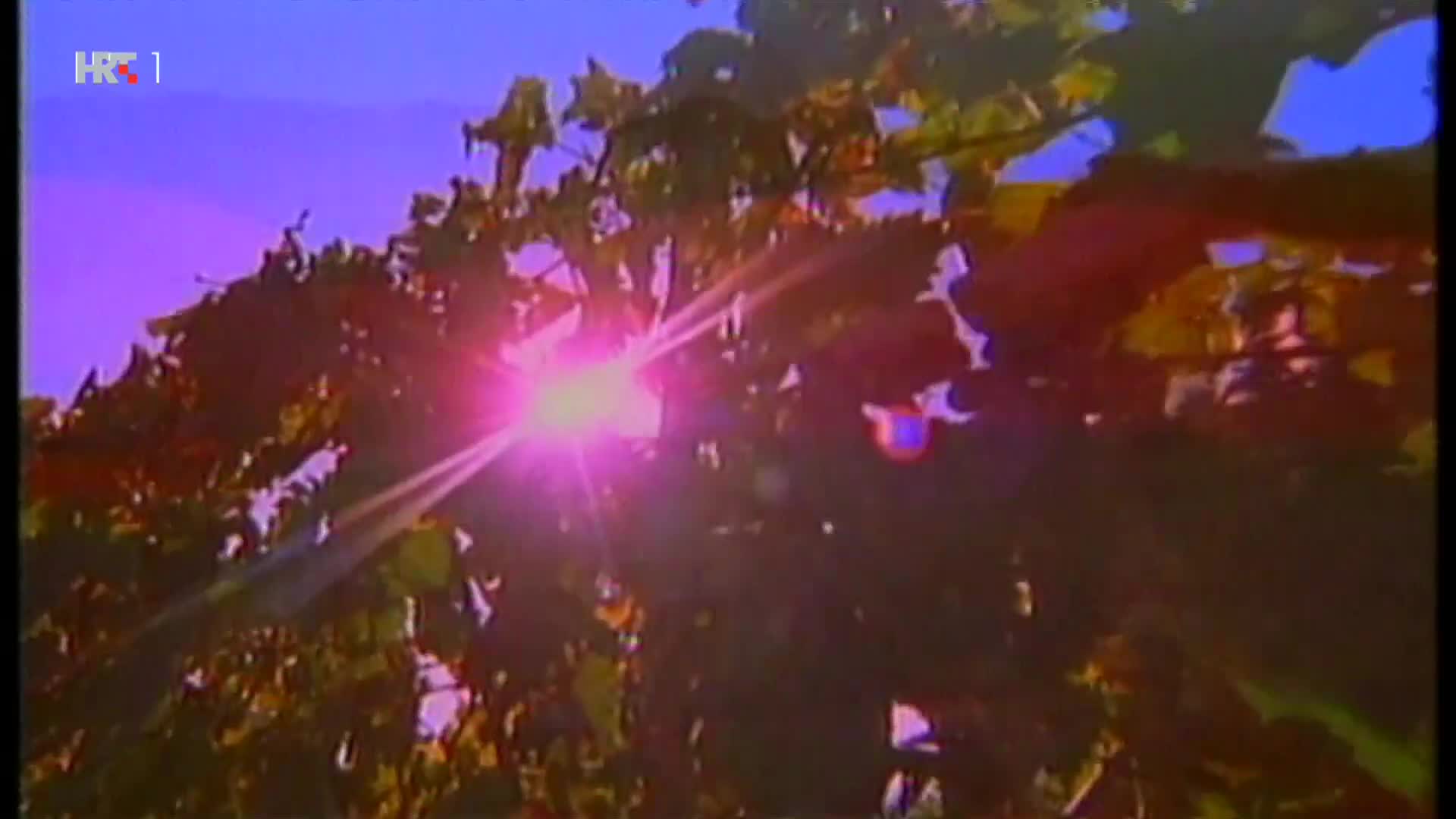 HRT1