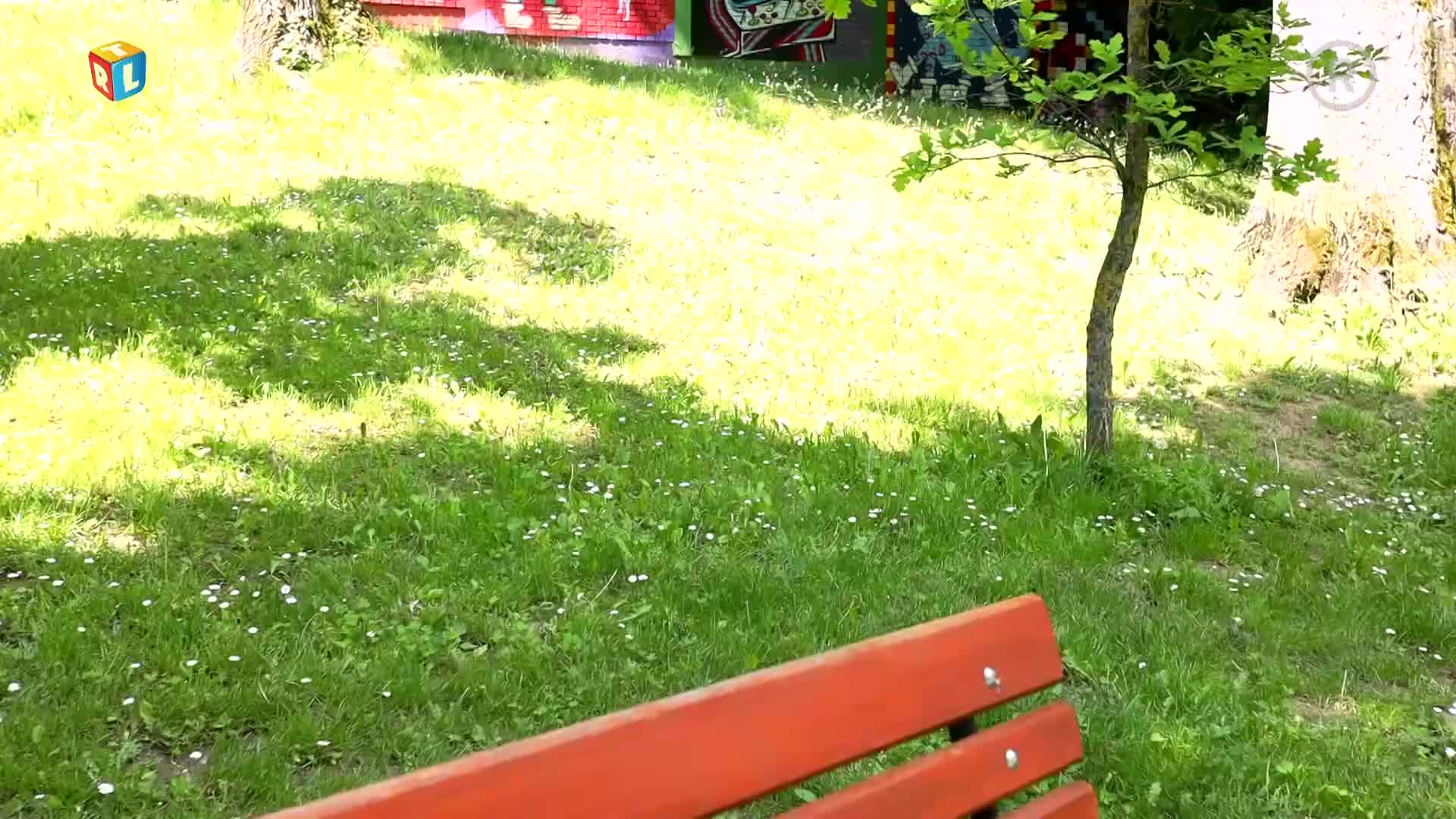 RTLKockica