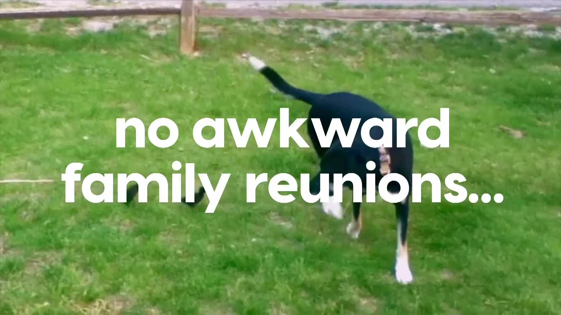 AnimalPlanet