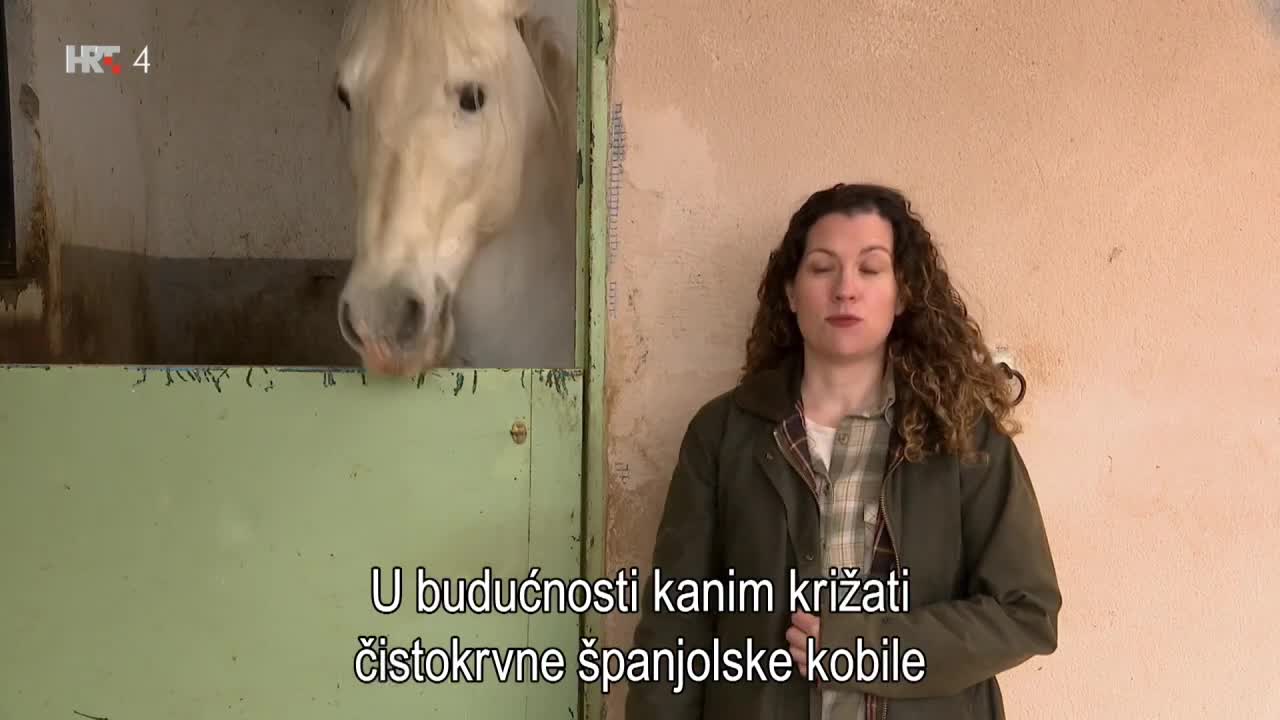 HRT4