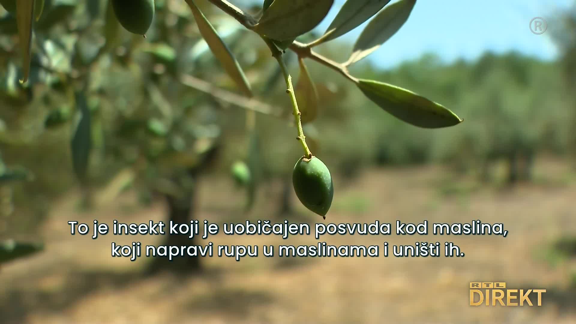 RTL