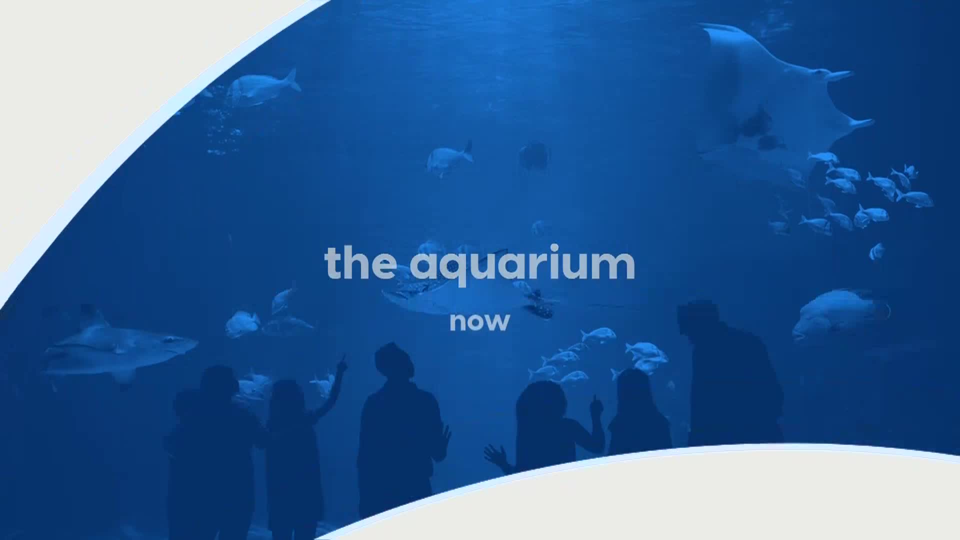 AnimalPlanet