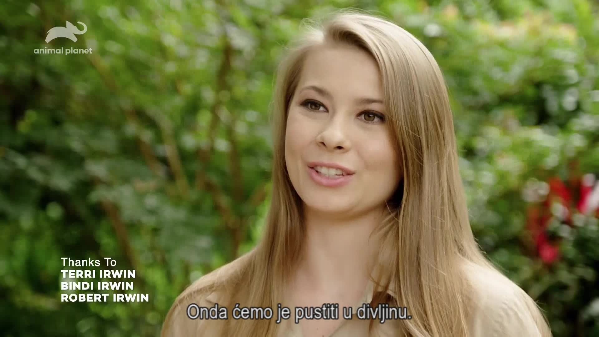 AnimalPlanet