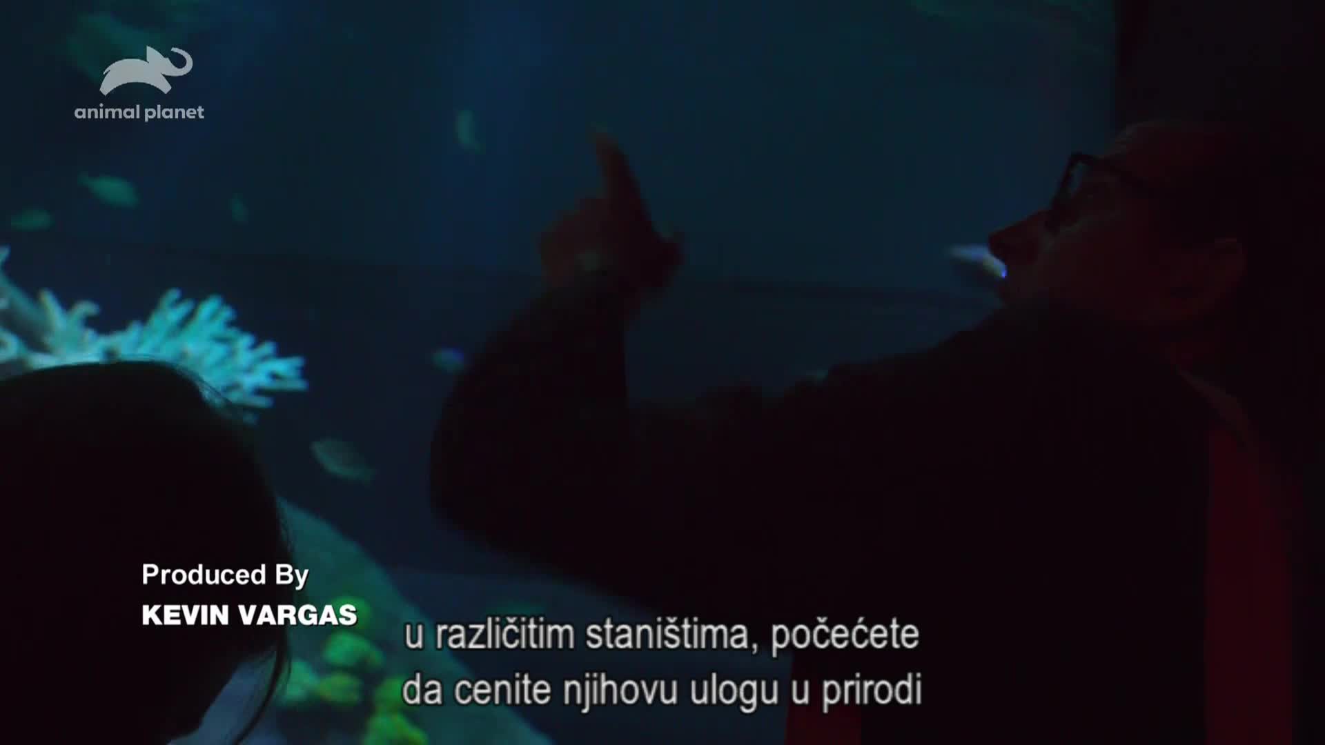 AnimalPlanet